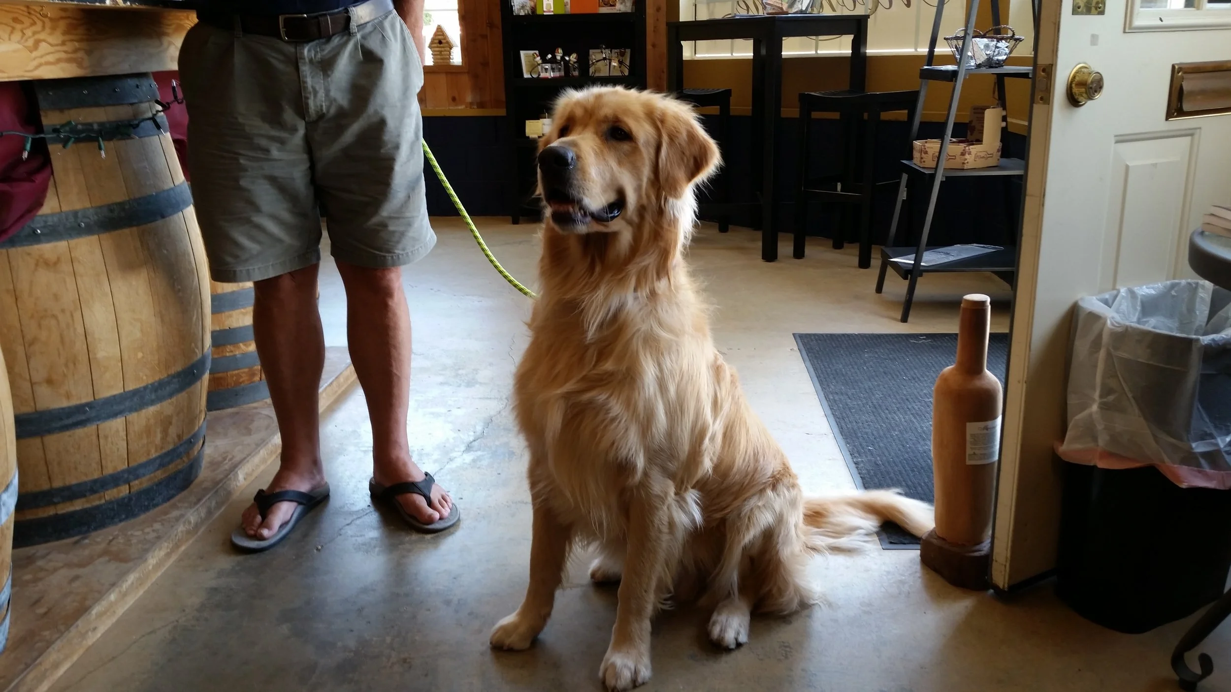 20160628_130244.jpg