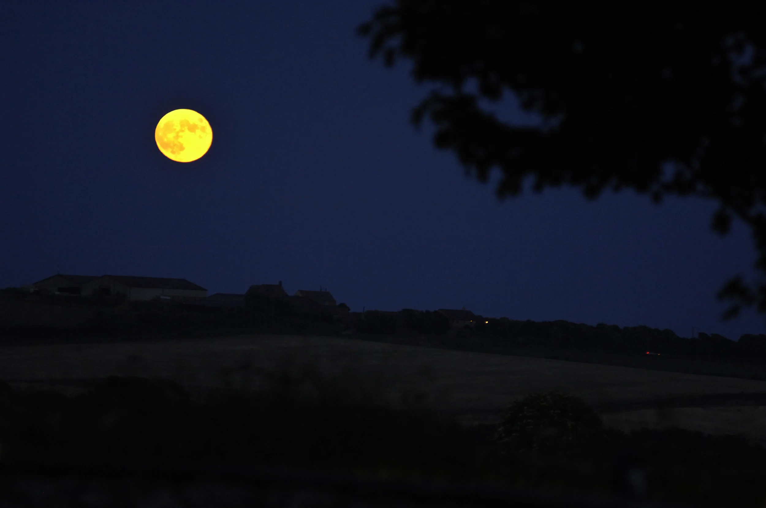 karen and chris harvest moon.jpg
