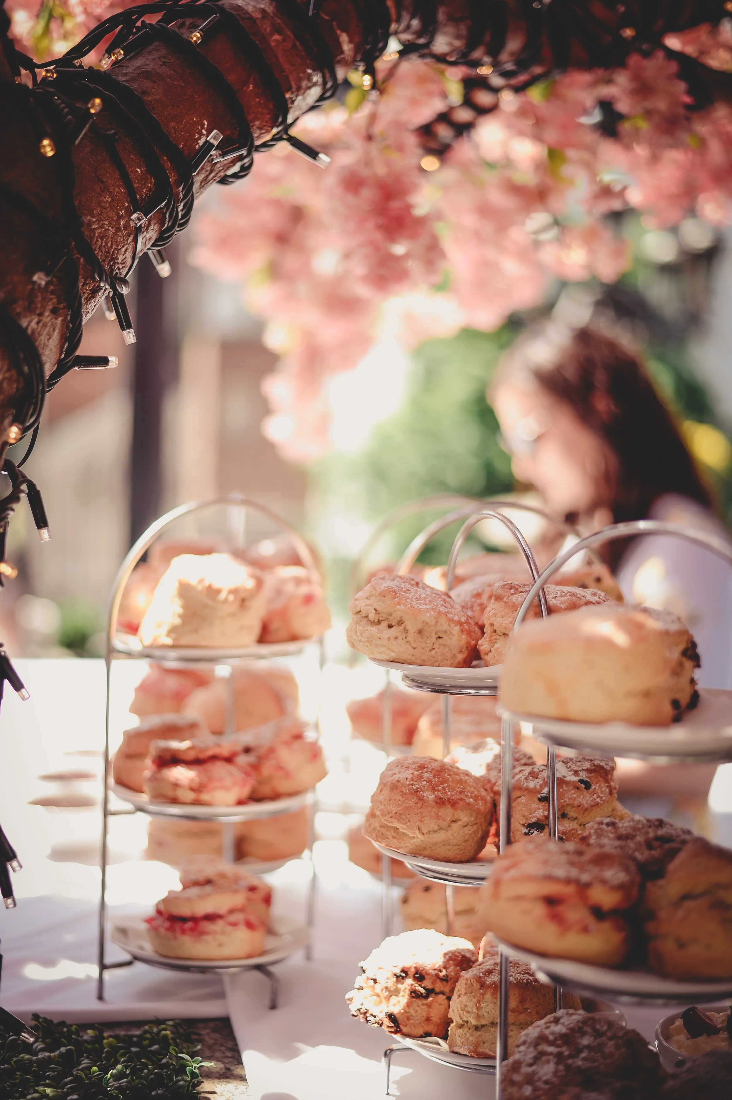 jtb00536_42156955124_o.jpg