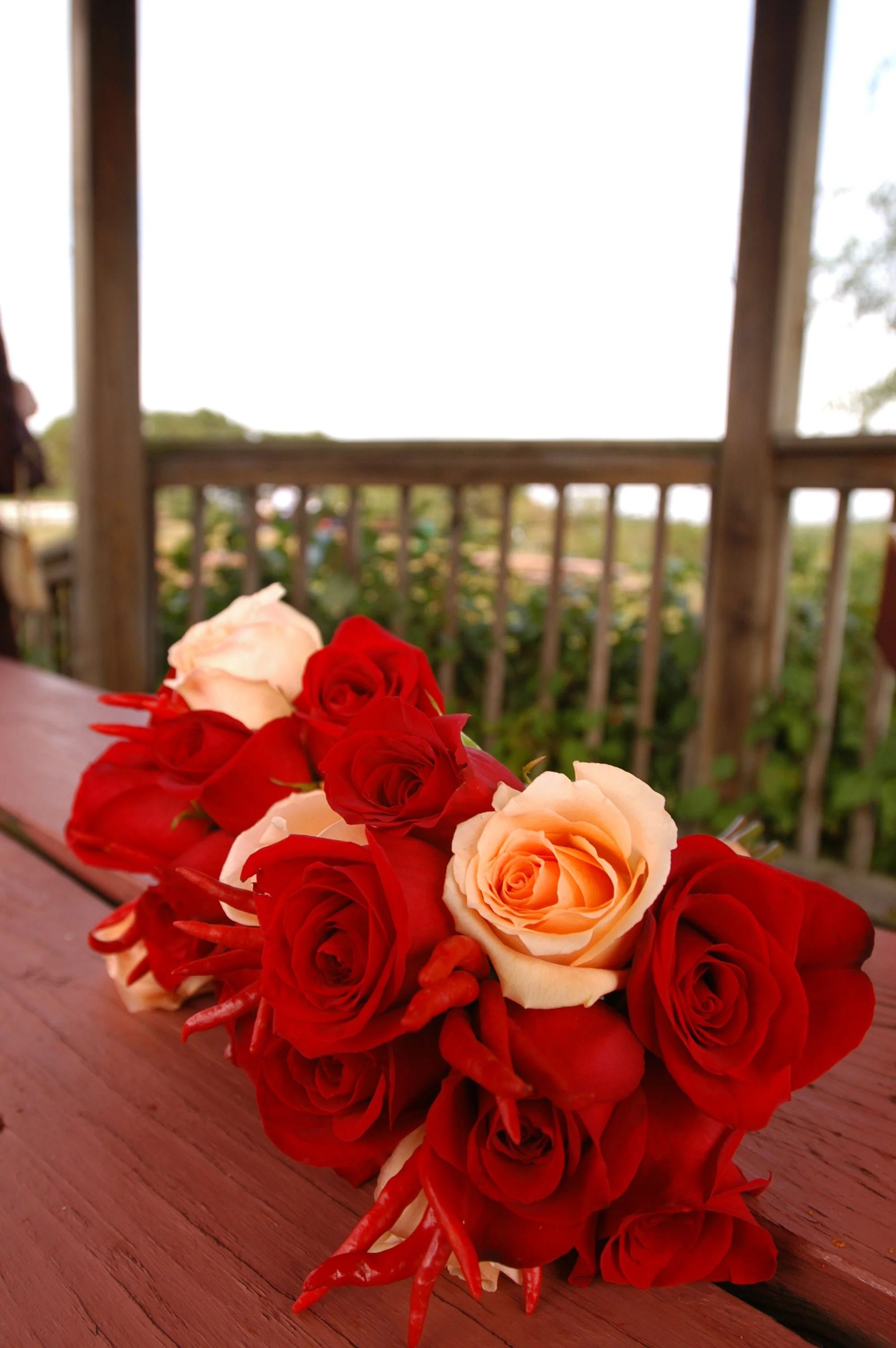 dsc_0004_2493645445_o.jpg
