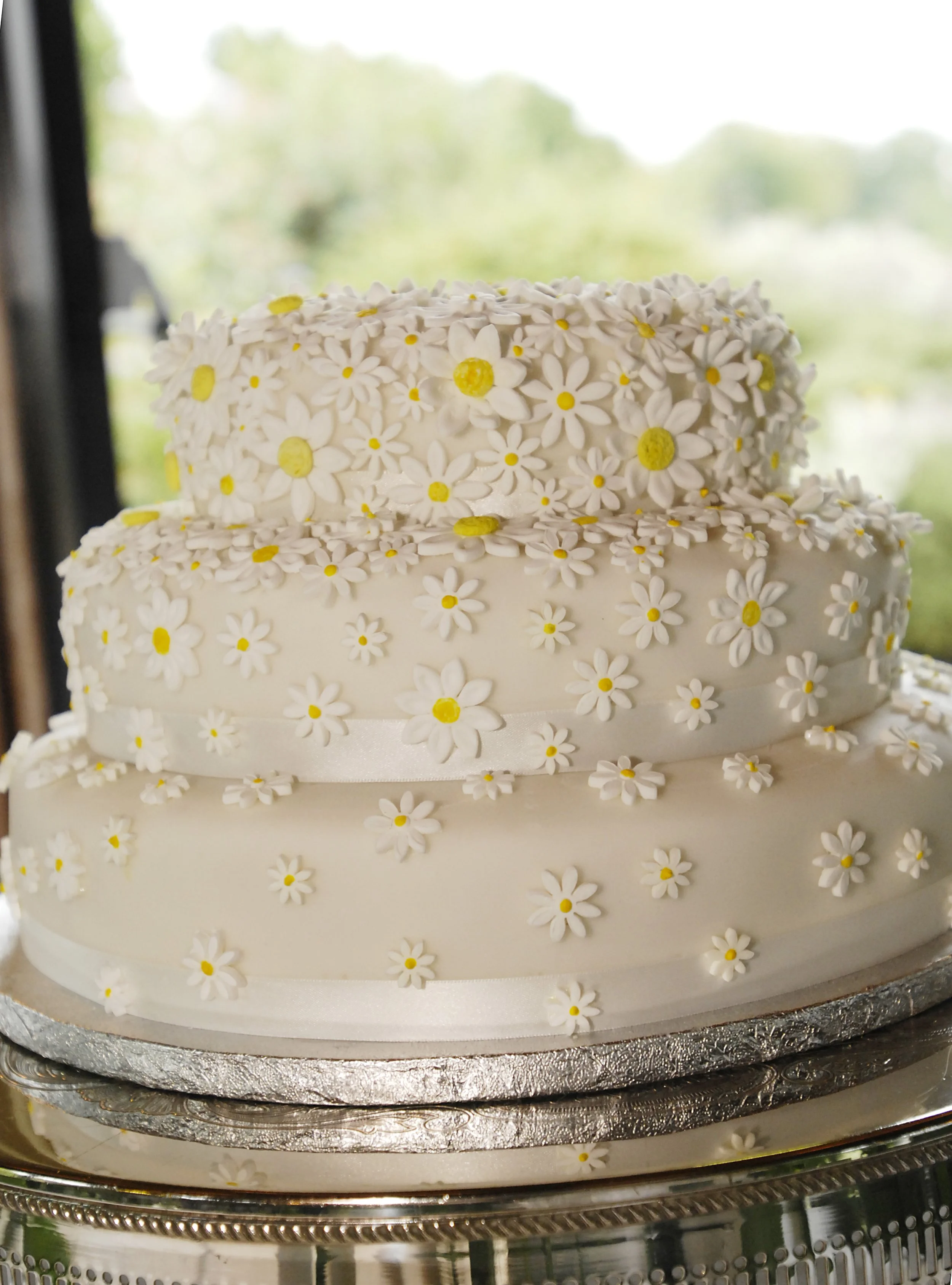 cec_sd_wedding453_2864399580_o.jpg