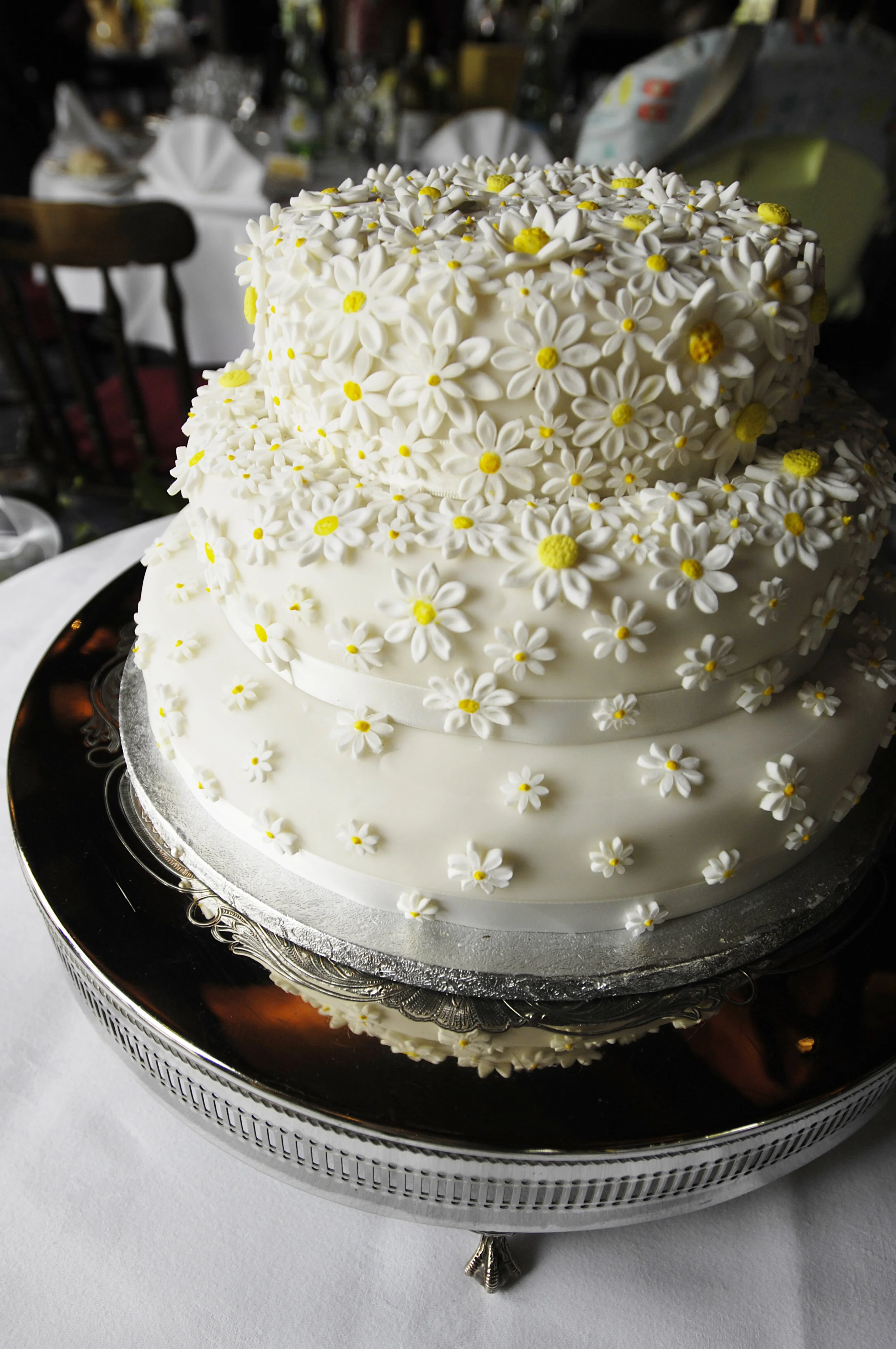 cec_sd_wedding423_2864364878_o.jpg