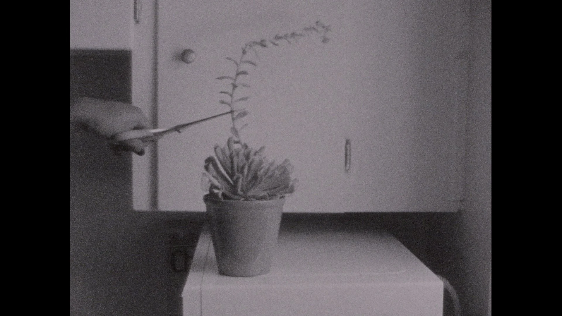 NO_BACKSIES_STILL_2_SARA_BULLOCH.jpg