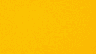 GIFVIDEO_1.gif
