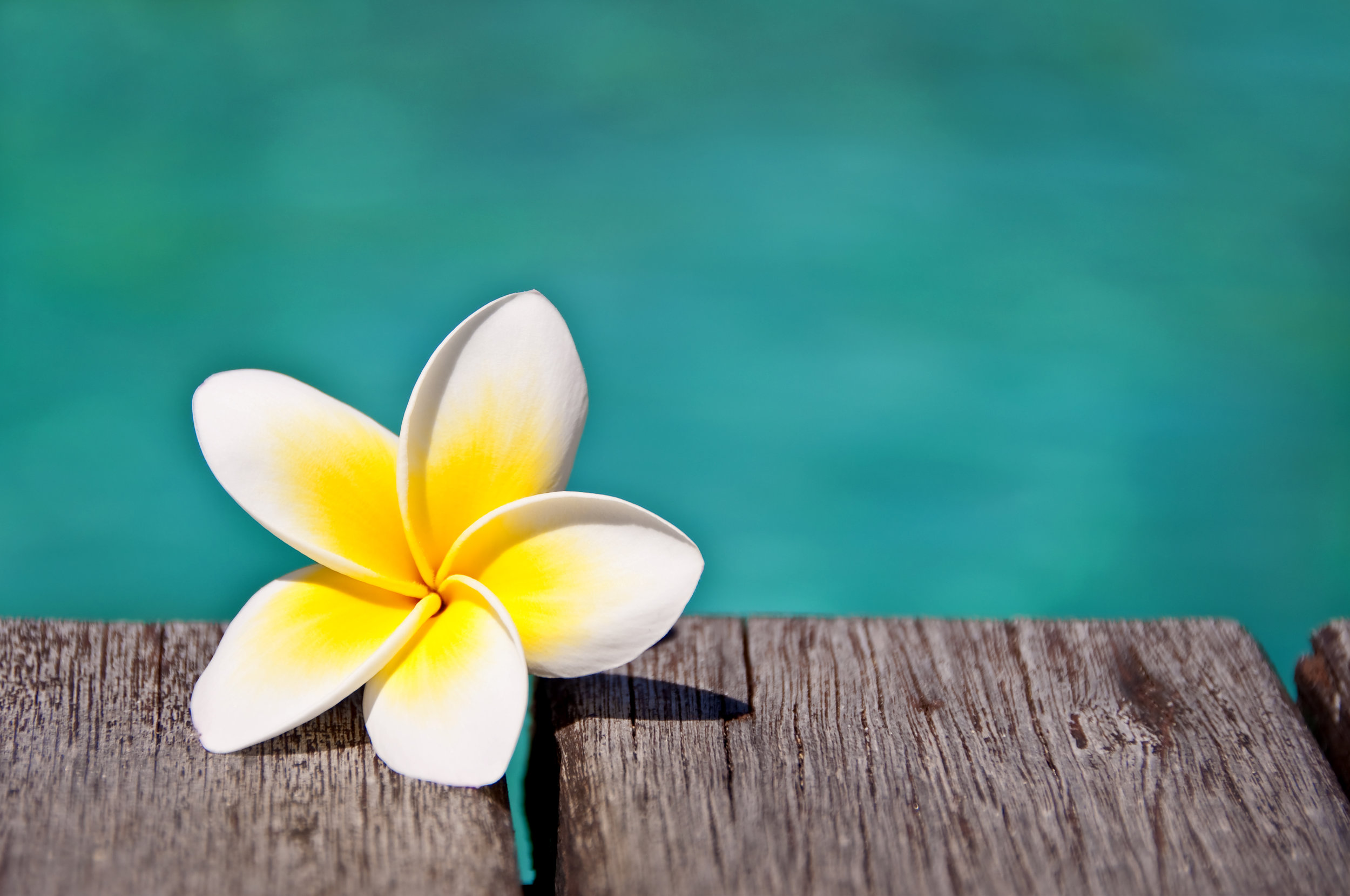 iStock-518022666.jpg