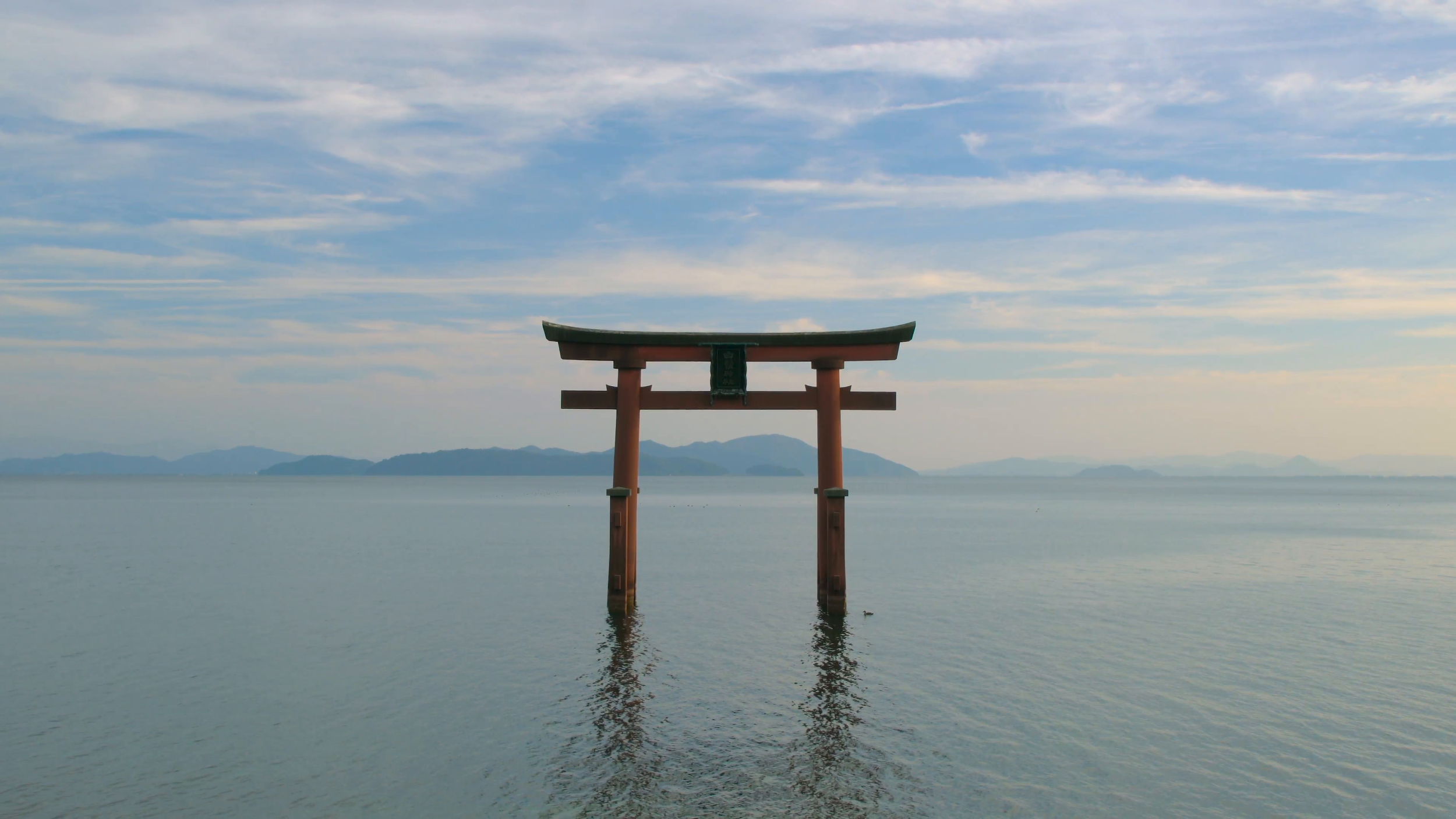 torii gate photo .png