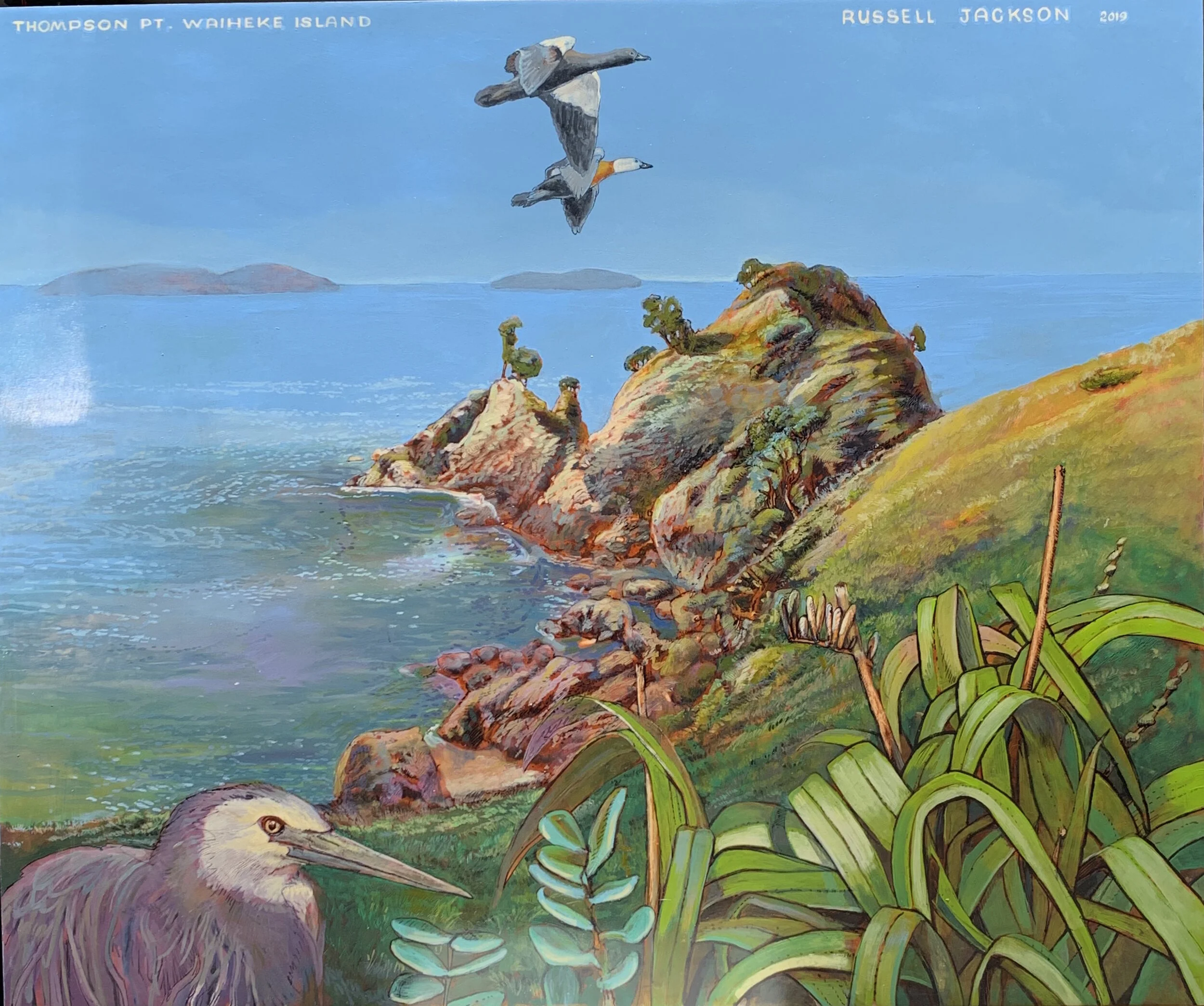 Thompson Pt Waiheke Island 