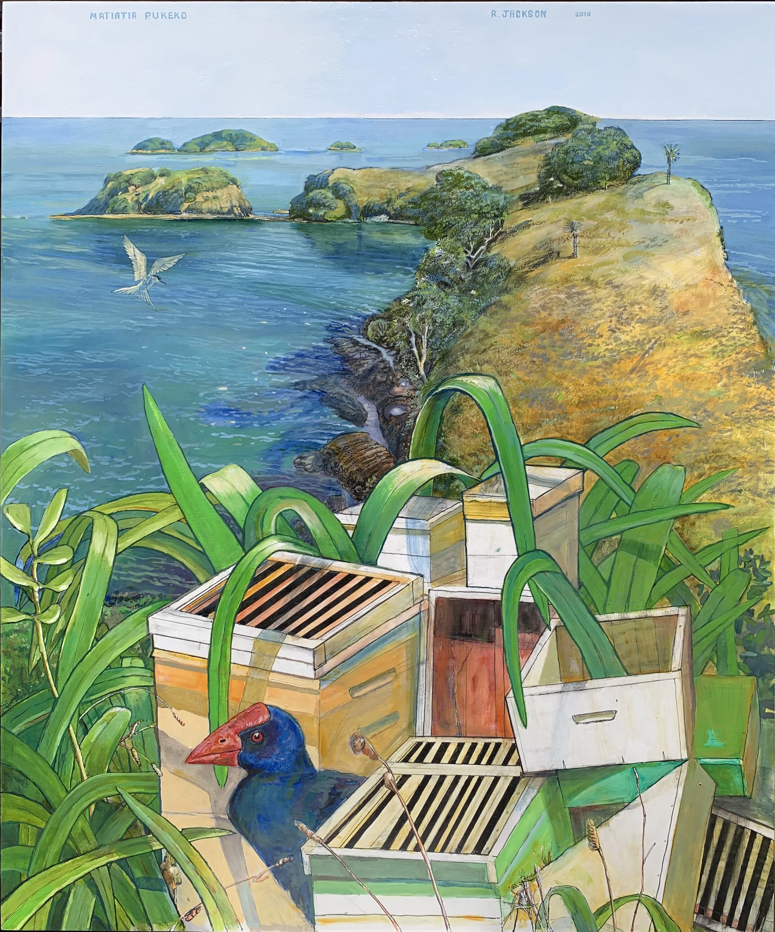 Matiatia Pukeko  SOLD