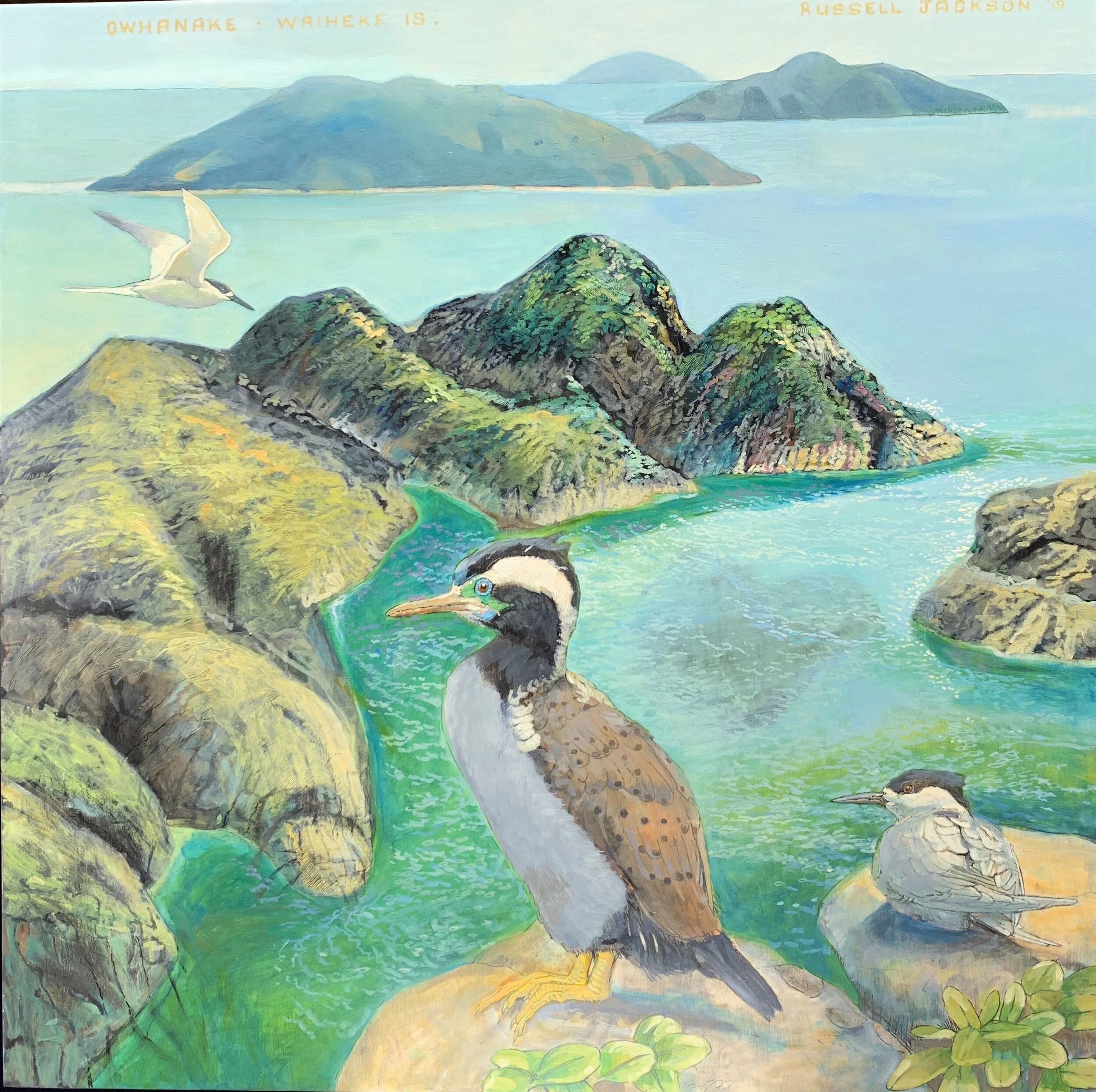 Owhanake - Waiheke Island