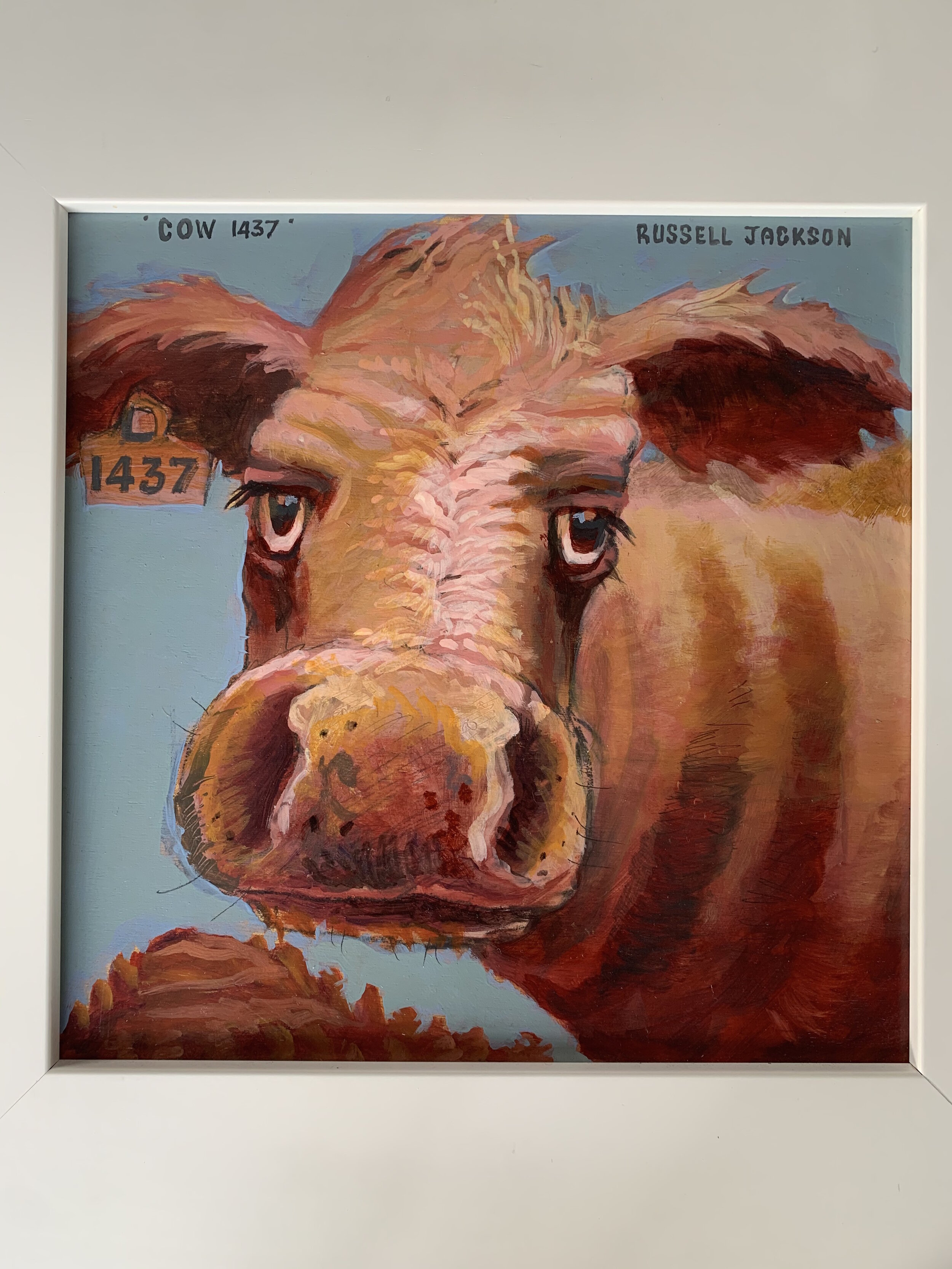 1437 Cow 
