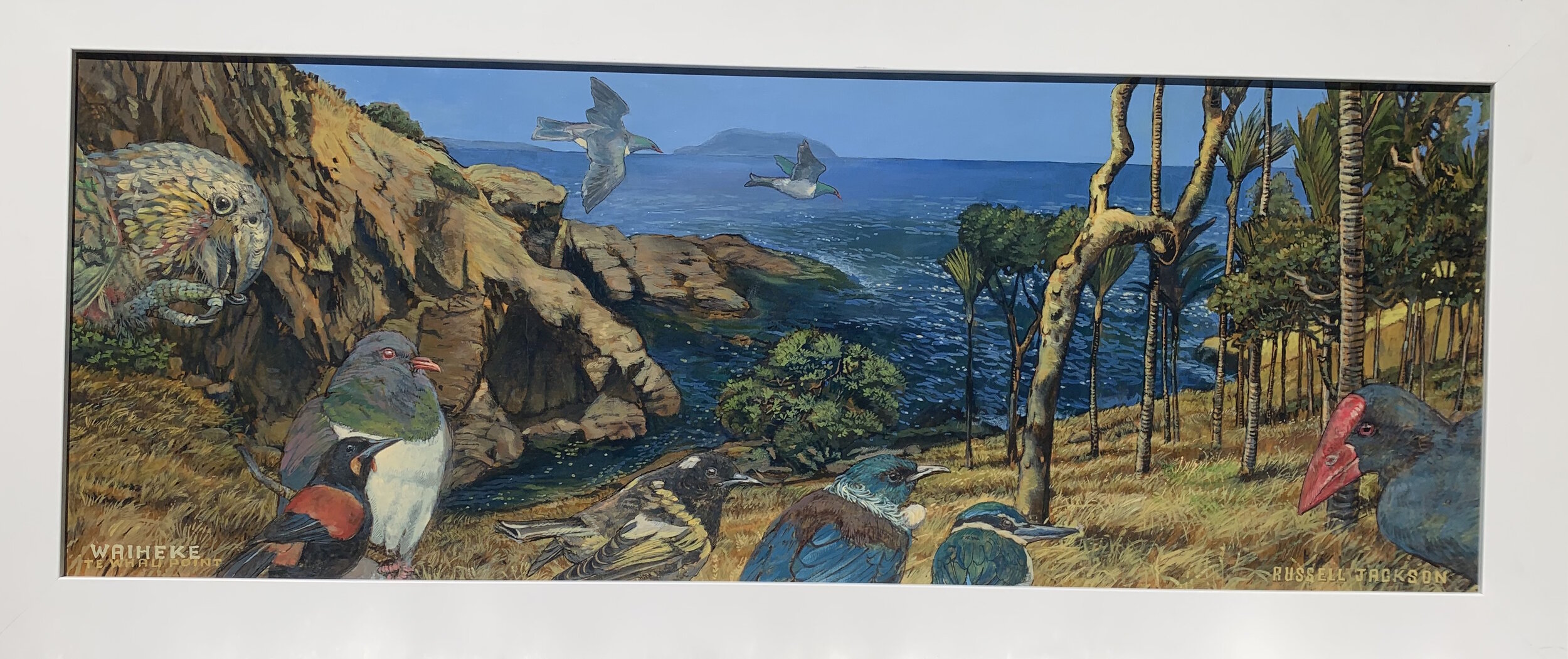 1504 Te Whau Point Waiheke