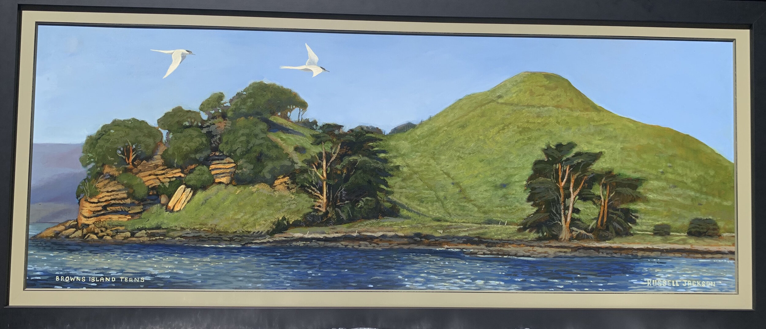 1527 Browns Island Terns