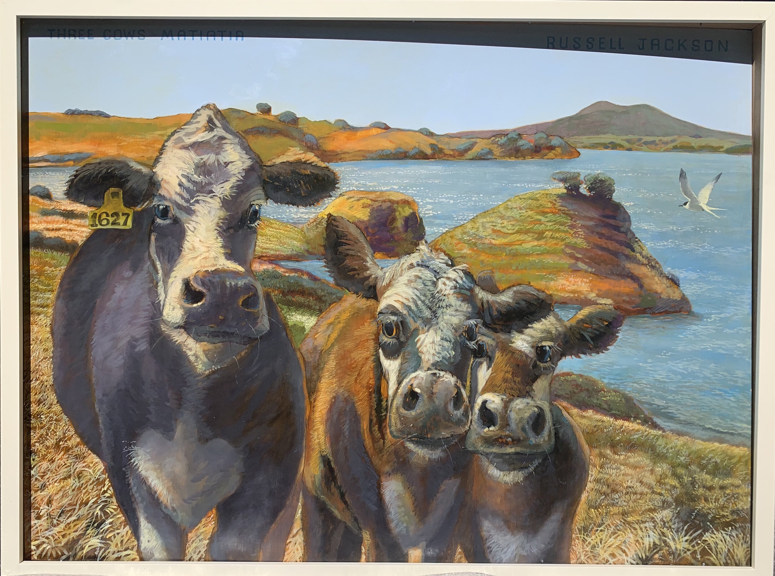 1627 Three Cows Matiatia