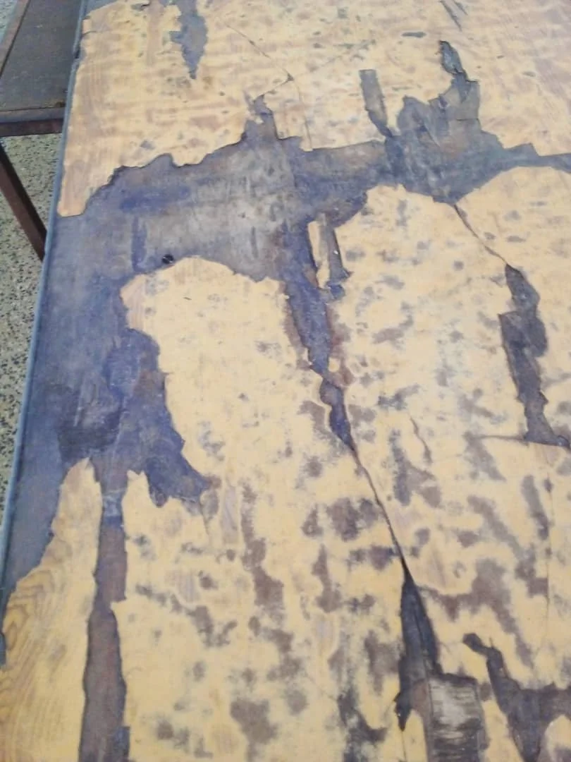 WhatsApp Image 2025-03-08 at 21.43.51 (8).jpeg