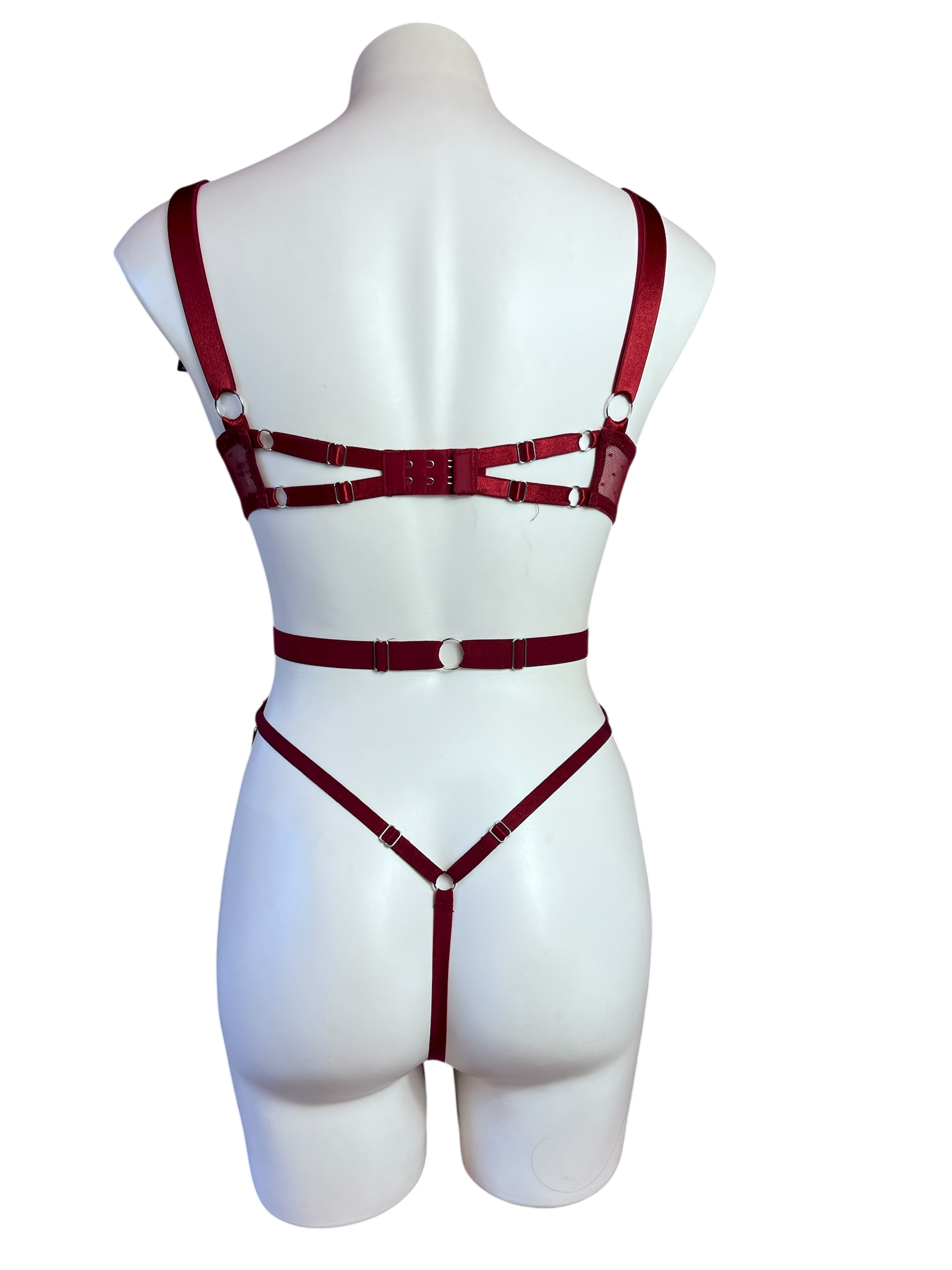 31E54488-0FE9-4ABD-A1B1-B0210B2F038C.png