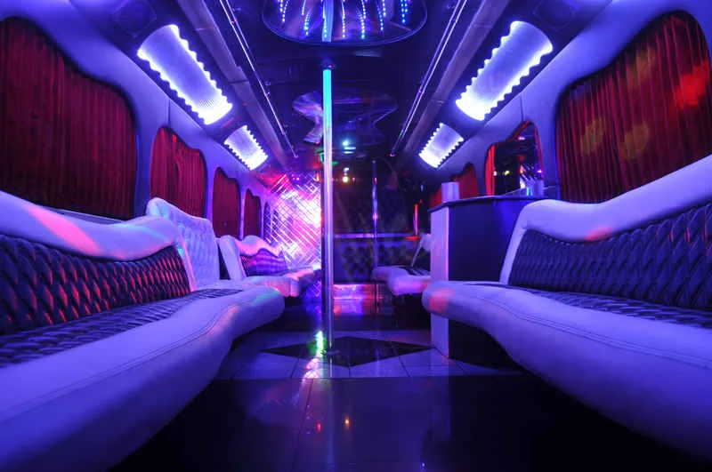 Alive Party Bus 47 Passenger