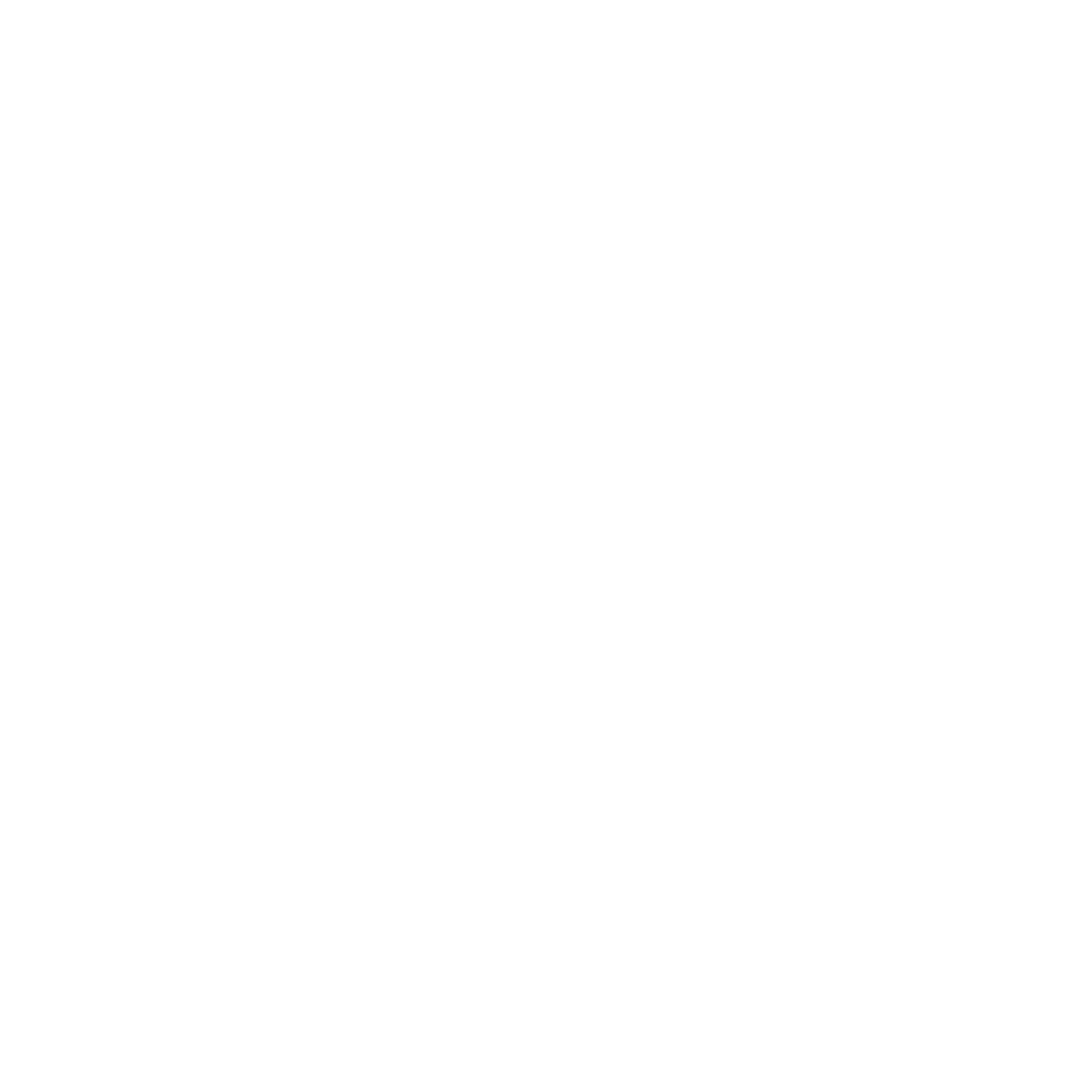 webTrustMakrW.png
