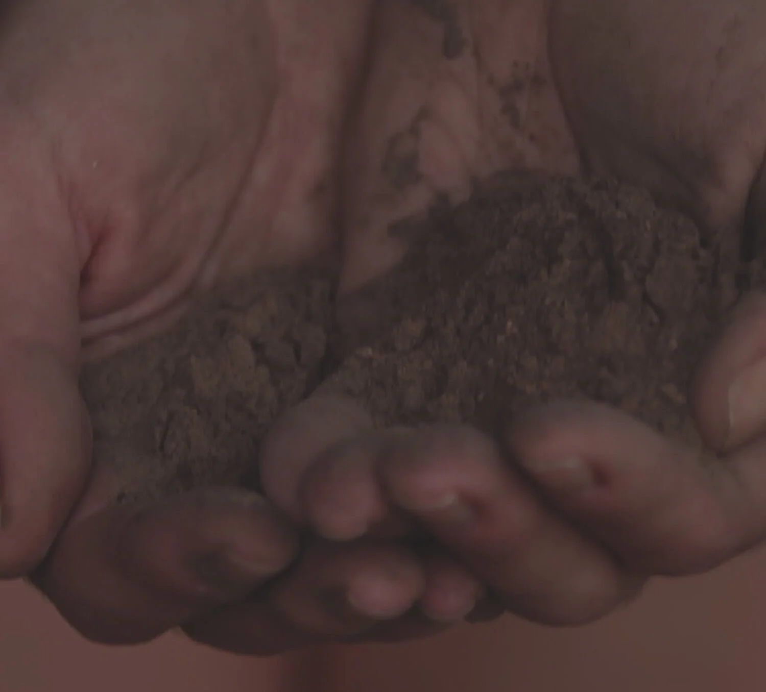 hands.jpg
