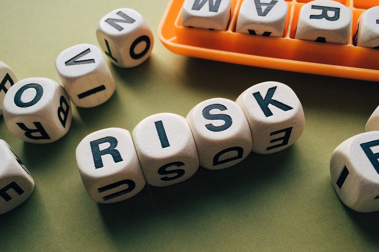 Risk disclosure in a business case & in subscription agreements