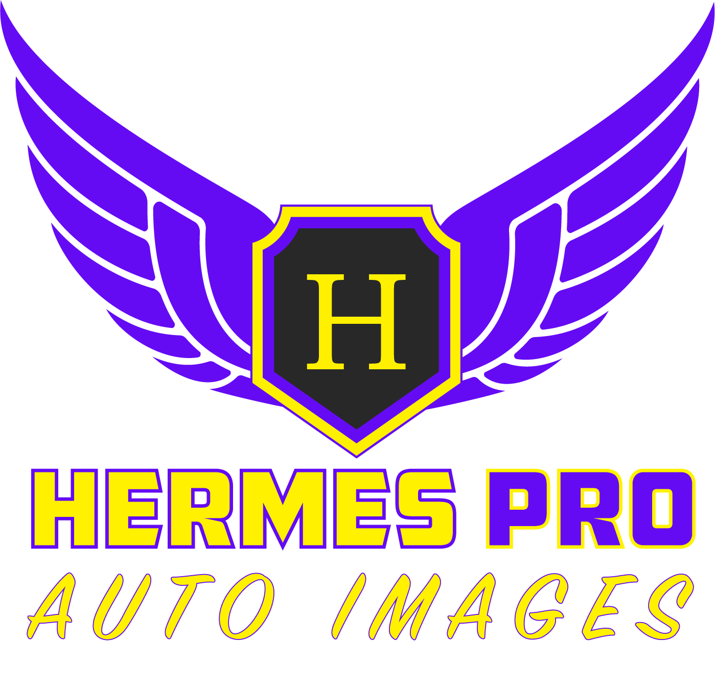 HERMES PRO AUTO IMAGES