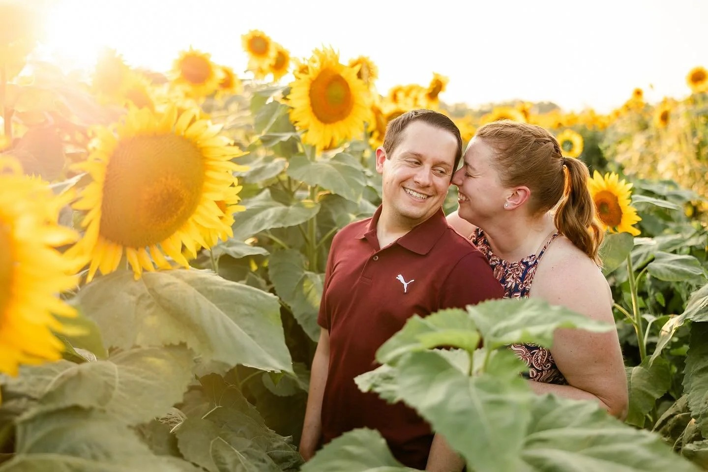 The golden glow among the rows of sunflowers reaching for the sky was truly a sight to see! I mean&hellip; I&rsquo;ve seen sunflowers but this?! Never anything like this! I am so glad Carole Ann and Matt chose this spot and were willing to bring litt