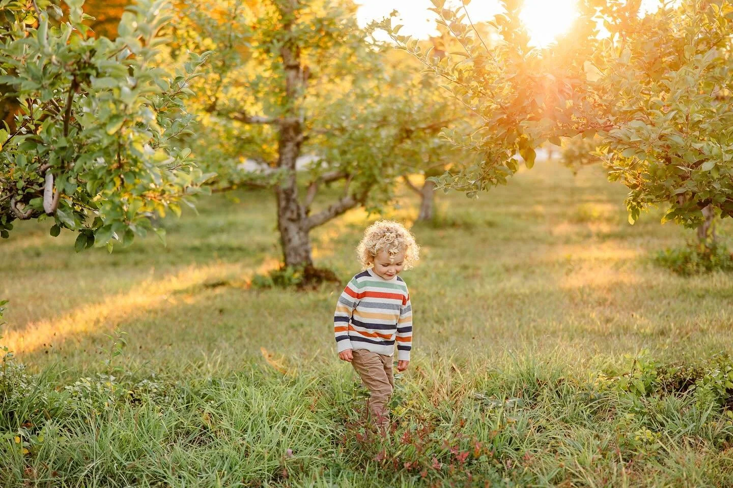 Golden hour hits different in October 😮&zwj;💨🍂 One of the many reasons why I love shooting at golden hour is because wiggle warms like this can run and play and all of the light is golden and gorgeous from every angle! It has always been my favori