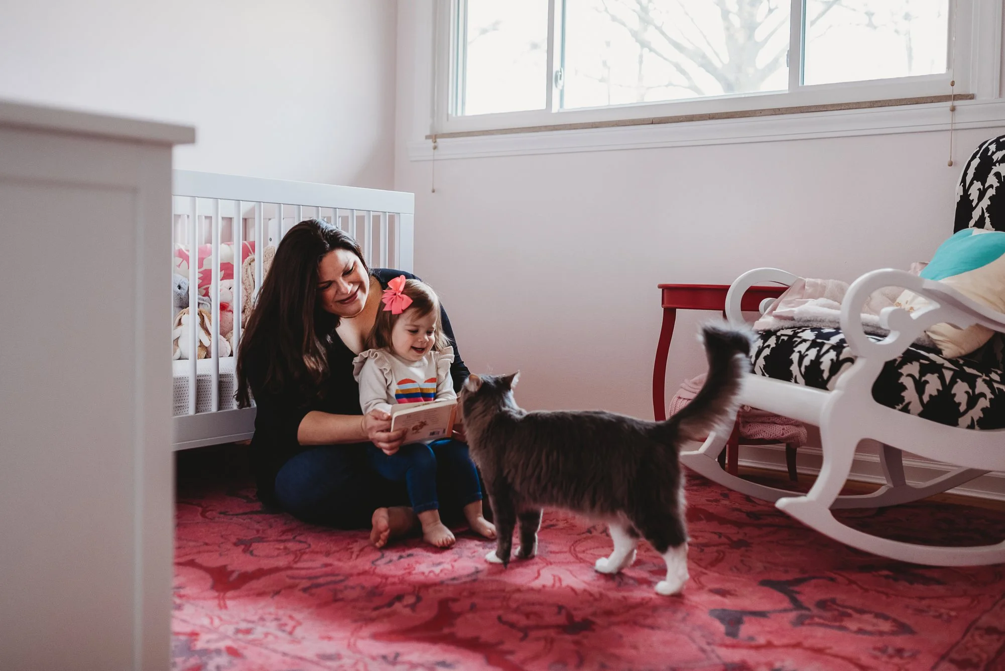 cat with family-st louis photographer
