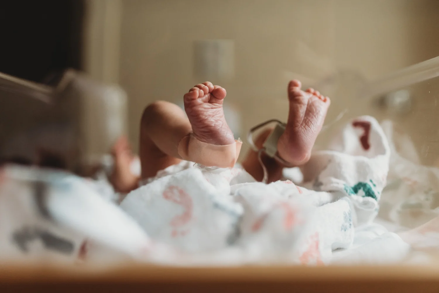 newborn feet