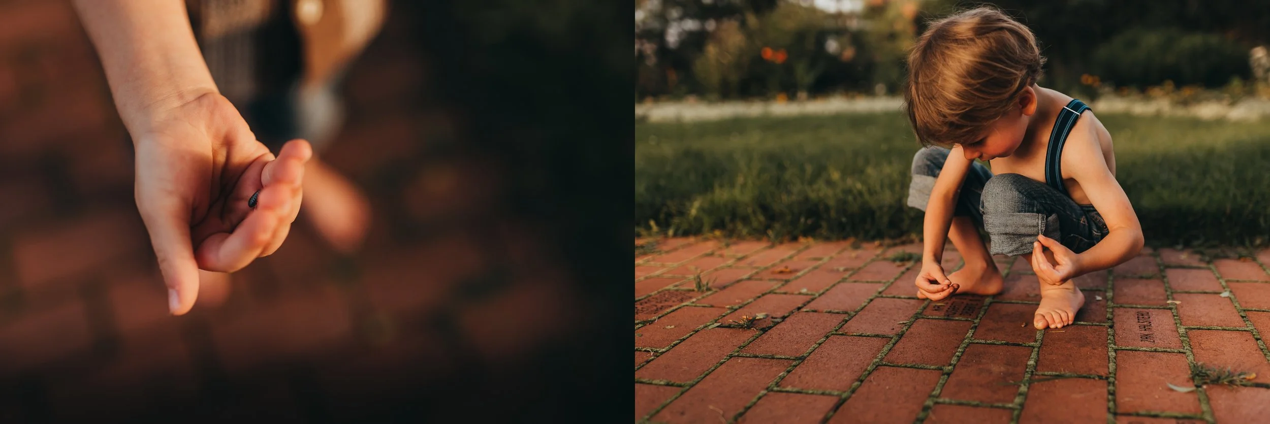 St-Louis-Child-Photographer