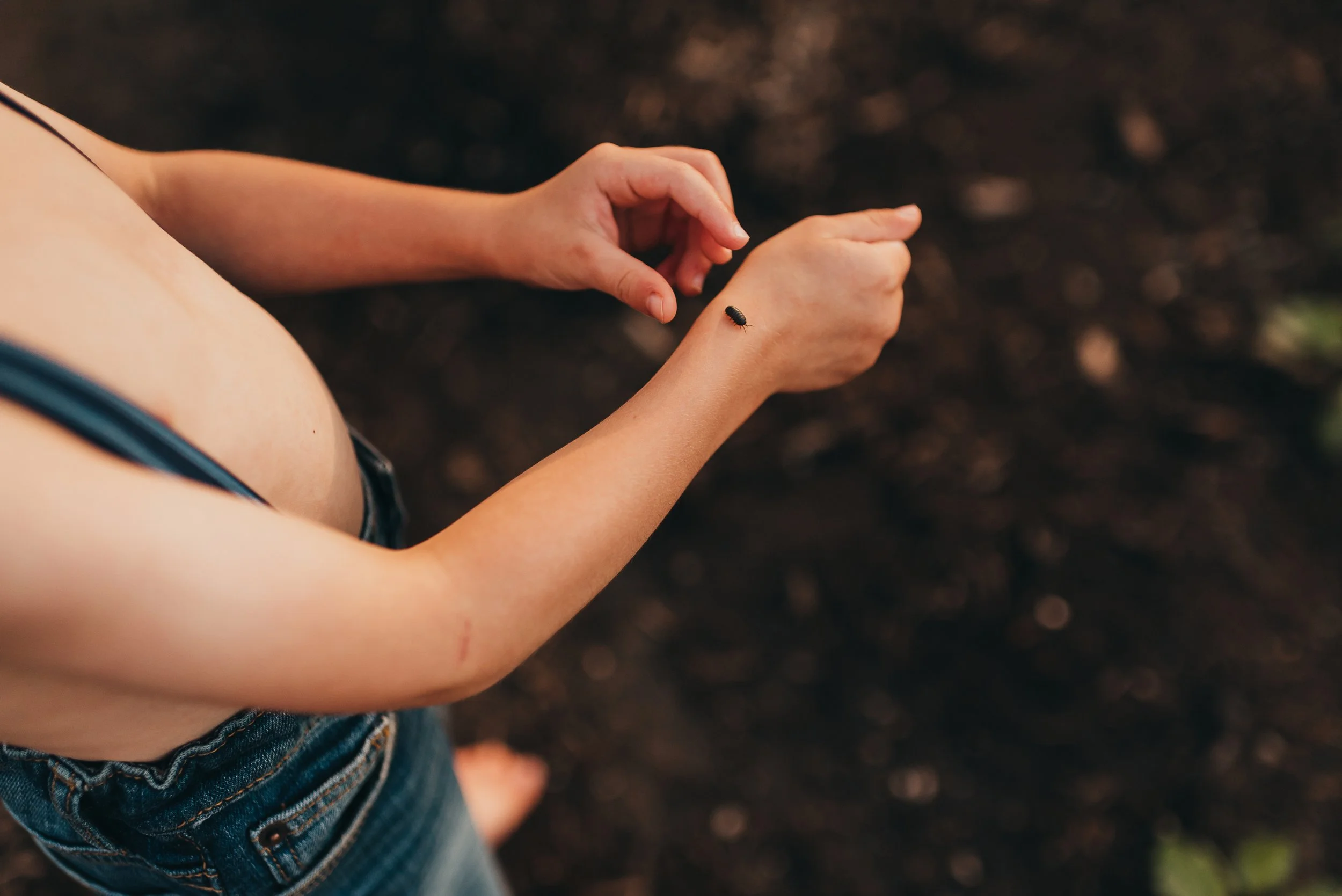 St-Louis-Child-Photography-catching-bugs