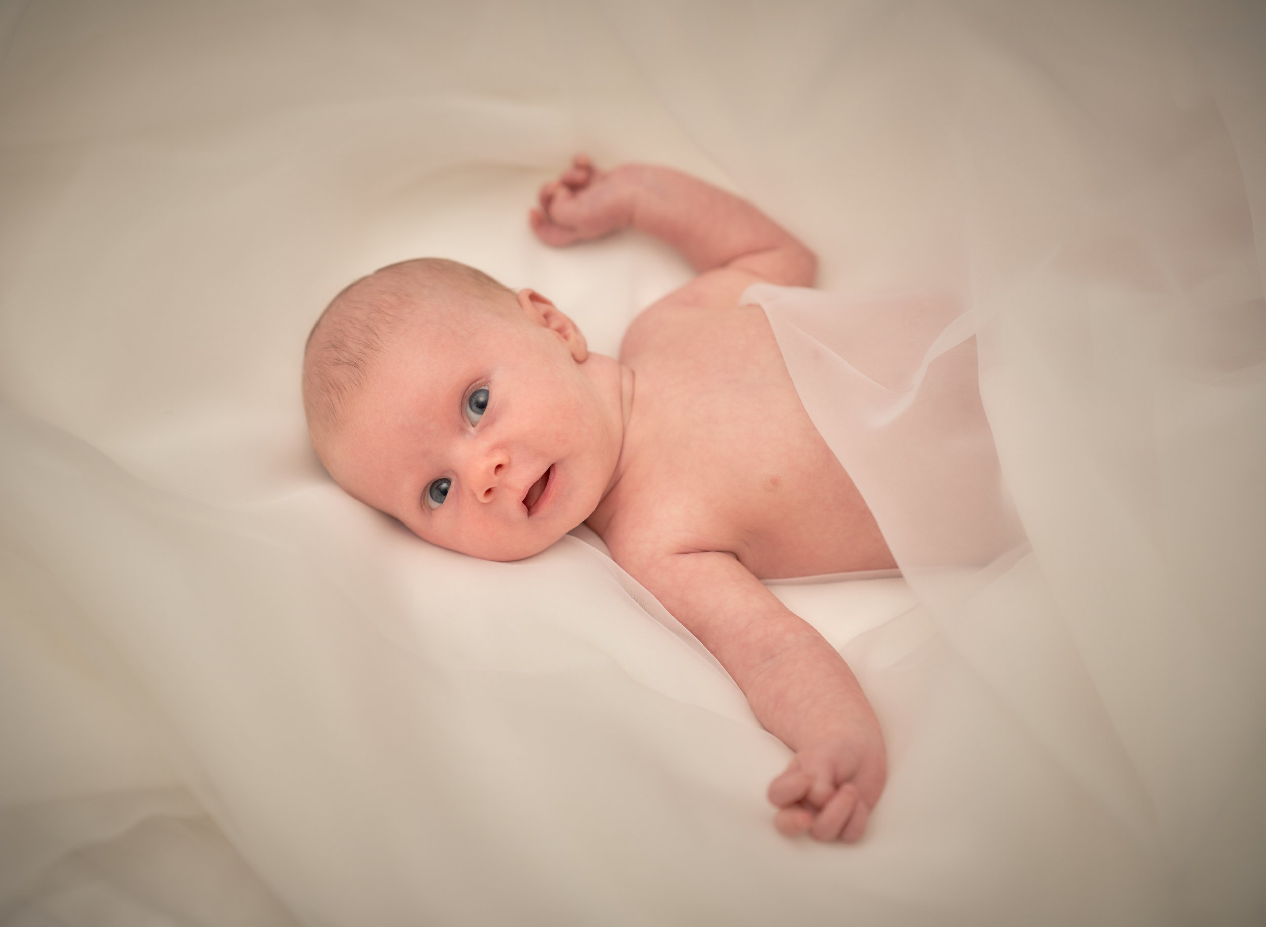 2019-10-09-Aliana Katie Alex Nana Ollie-C1Pro10_AJS0424 1.jpeg