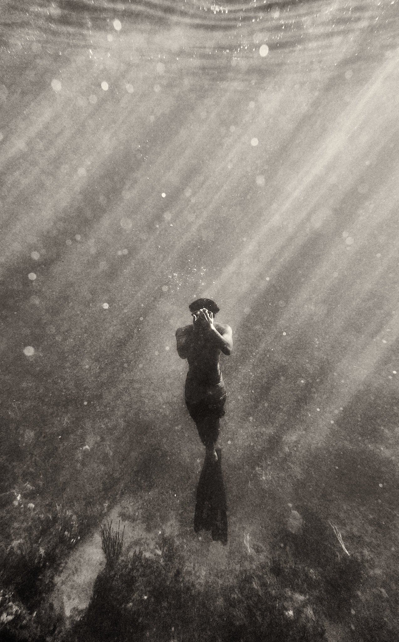 2023-10-24–Abdiel–Vieques–@AJStetson_DSC02046.jpg
