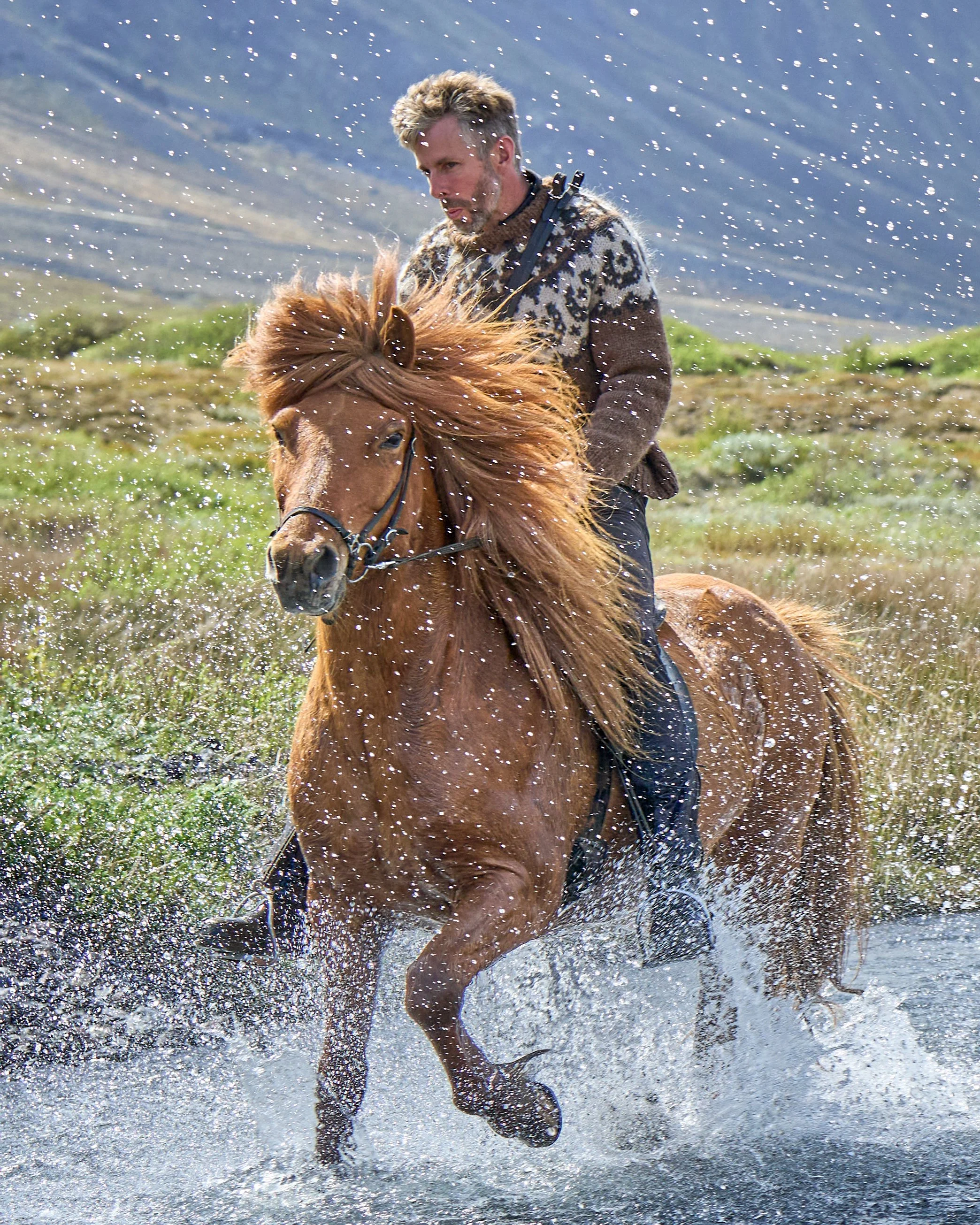 2024-06-12–Hekluhestar to Þórsmörk_©AJStetson_DSC03449.jpg