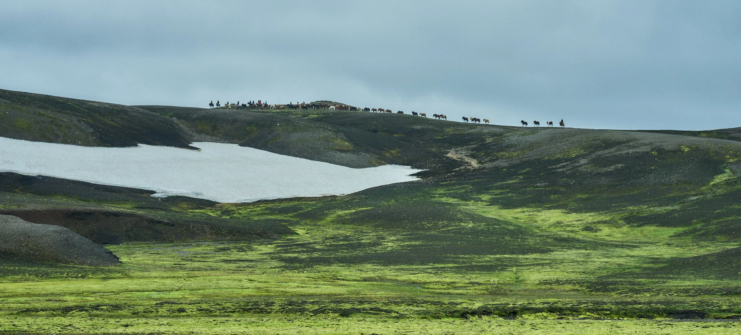 2022-07-28–Hekluhestar–Iceland–©AJStetson_A1_9917.jpeg