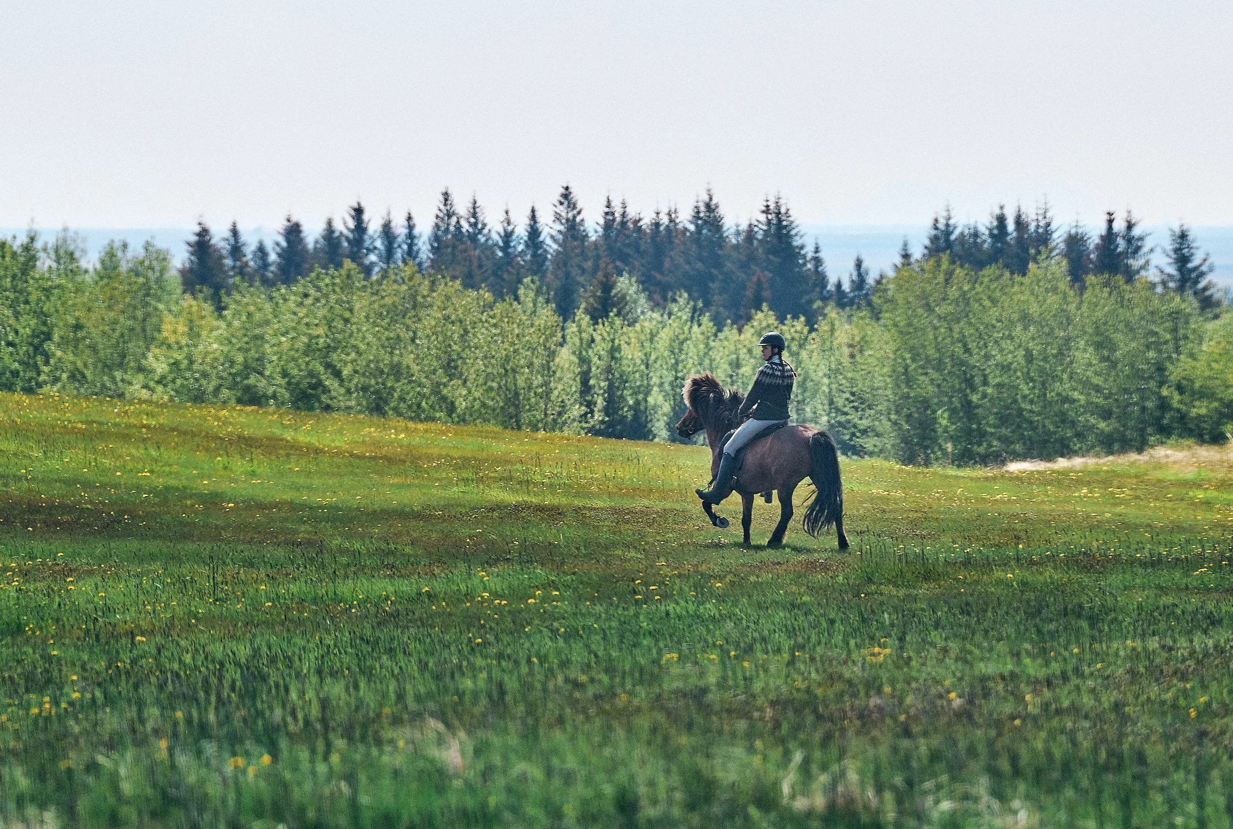 2024-06-11–Hekluhestar to Þórsmörk_©AJStetson_DSC02047.jpeg