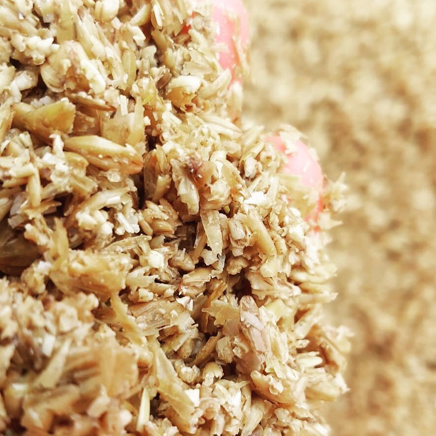 Did you know that with the efforts our amazing brewery customers we&rsquo;ve repurposed nearly 2,000,000  lbs of spent grain 🌾 in the last 12 months⁉️ ♻️ Rather than the grain being under-utilized as compost or wasted in landfills, it&rsquo;s being 