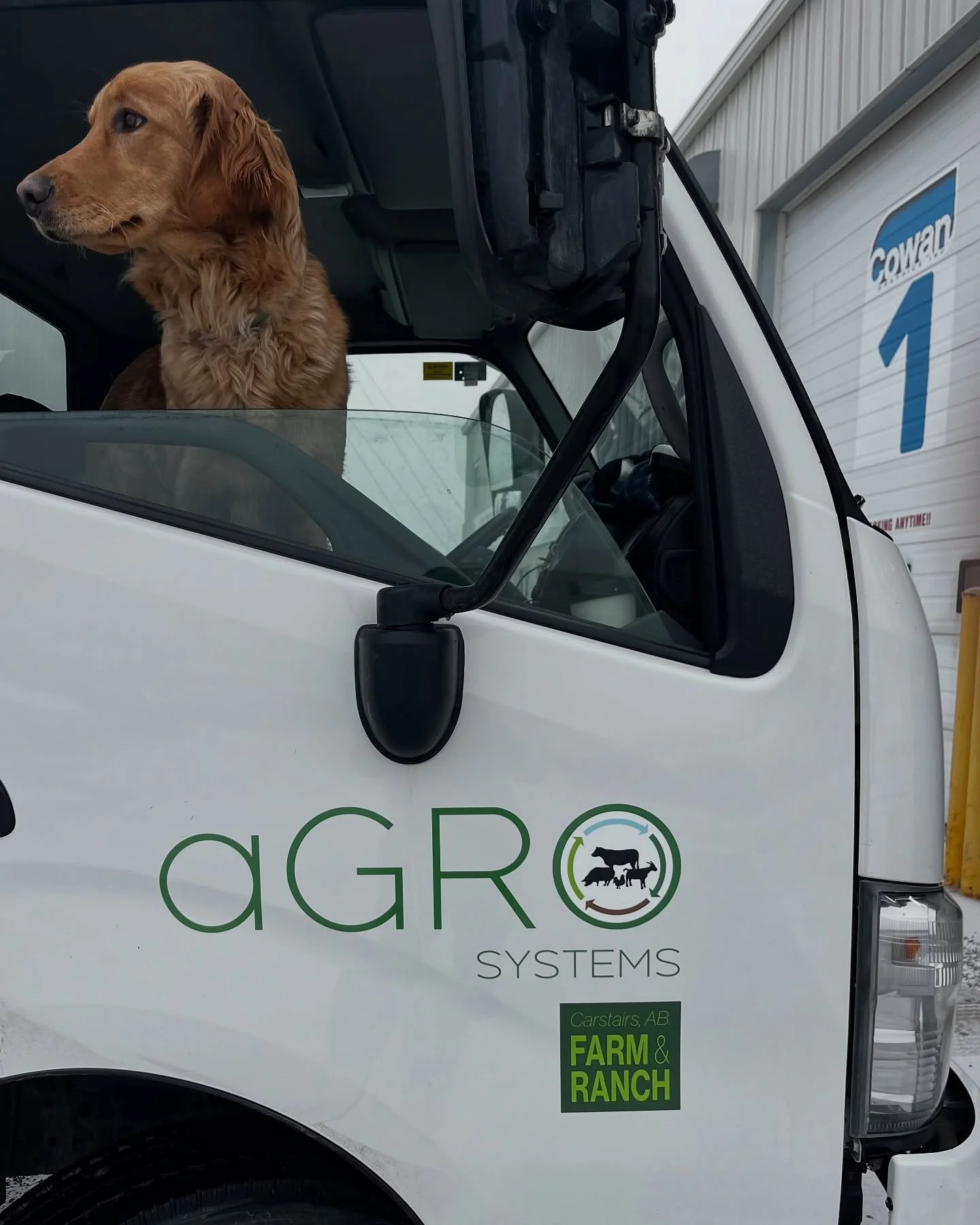 Thank you @cowangraphicsinc for our beautiful new decal and thank you @elisemartinoski for your design ❤️
&bull;&bull;&bull;
aGRO Systems a little farm with a big vision! 
&bull;&bull;&bull;
#goagro #littlefarmbigvision #carbonneeutralbeefproduction 