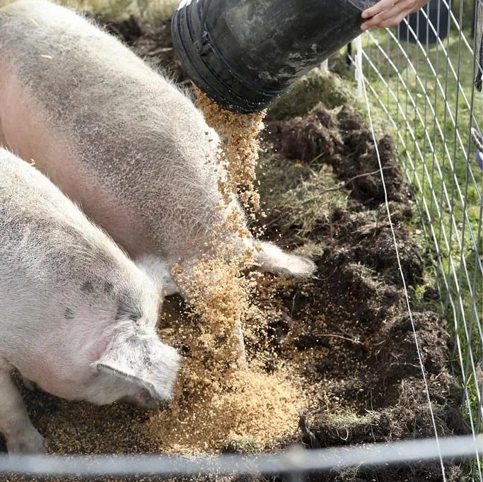 Your brewery is making a big difference! @bandedpeak_brewing 
&bull;&bull;&bull;
Canada&rsquo;s food system is in need of repair. 46 percent of food in Canada is lost or wasted, while nearly 50 percent of Canadian farmers need a second off-farm incom