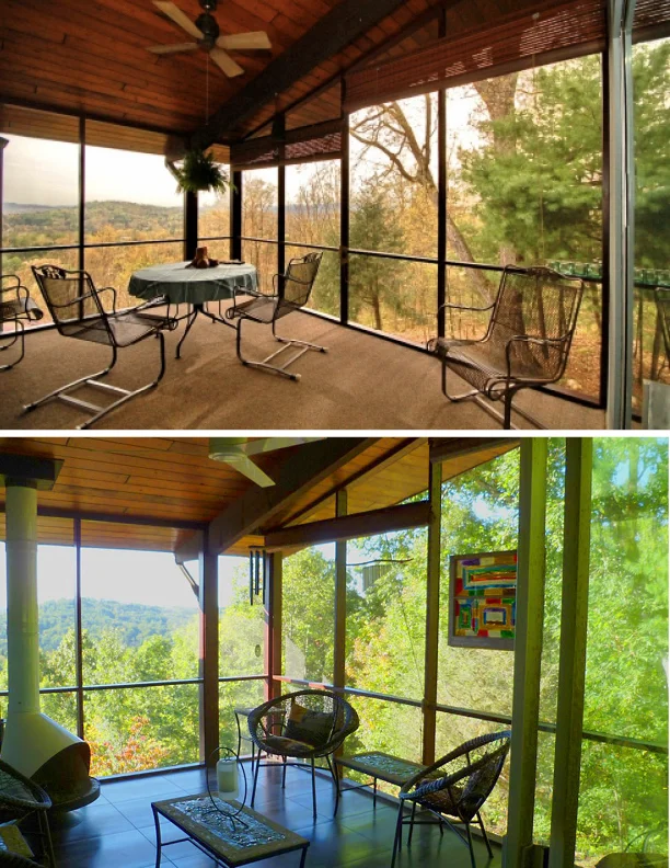 Lucky before and afters3.jpg