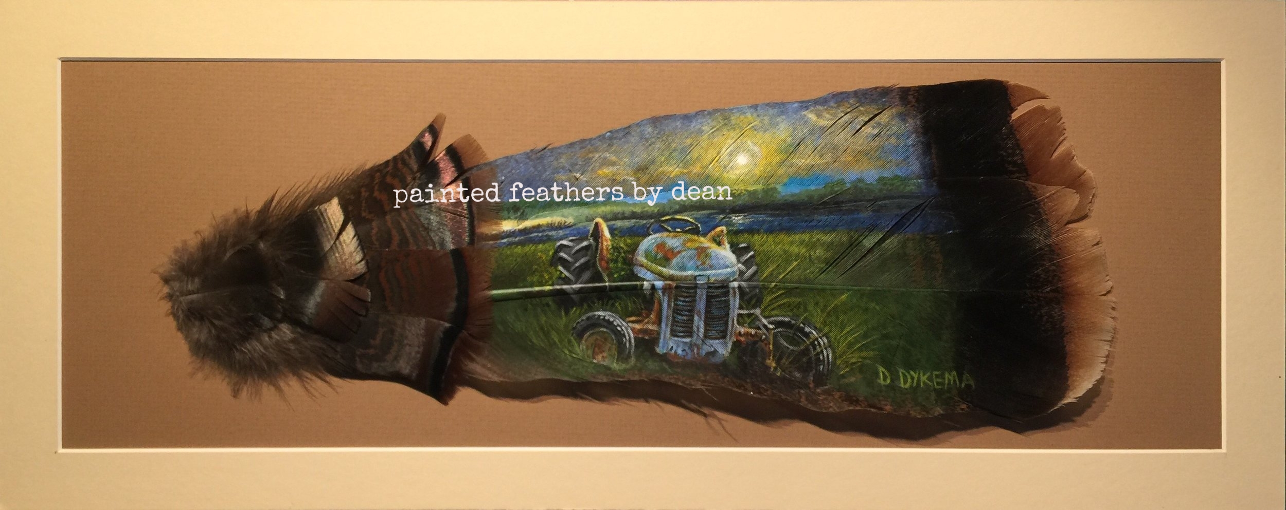  This abandoned Ford tractor, basking in the morning sun, is painted on two wild Eastern Turkey tail feathers. The shafts are adorned with body and covert feathers. The feathers are matted and framed in a shadow box.  $160.00 
