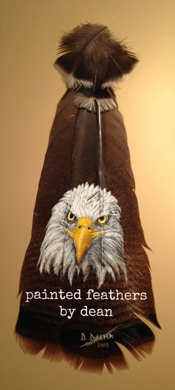  This Bald Eagle portrait is painted on two wild Eastern Turkey tail feathers. The base of the shafts are adorned with body feathers. The feathers are matted and framed in a shadow box.  $160.00 