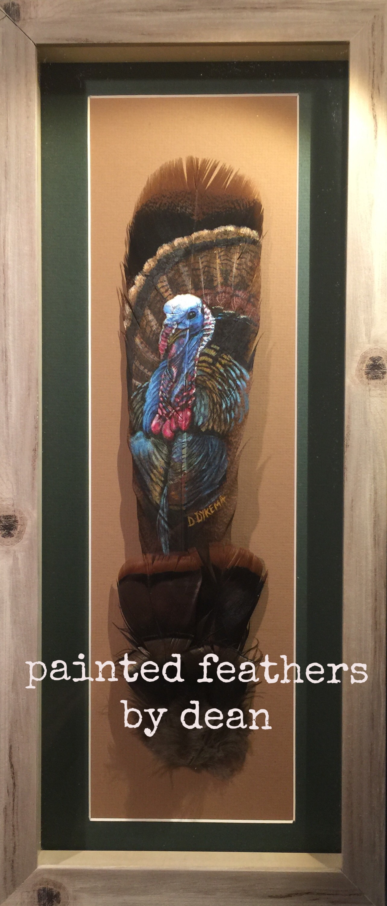  This is a close up portrait of a Tom turkey, painted on one wild Eastern Turkey tail feather. The shaft of the feather is adorned with body and covert feathers. The feathers are matted and framed in a shadow box.  $160.00 