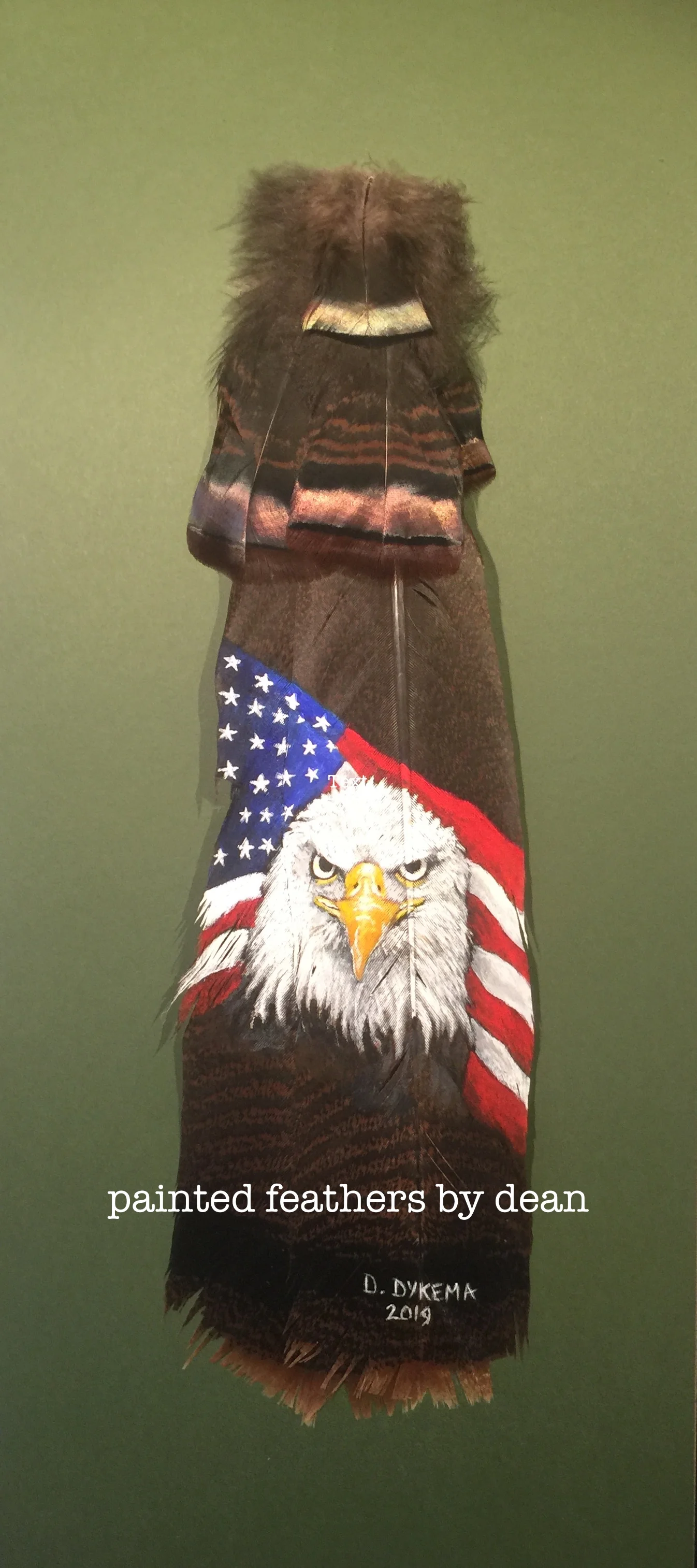 Bald Eagle and American Flag