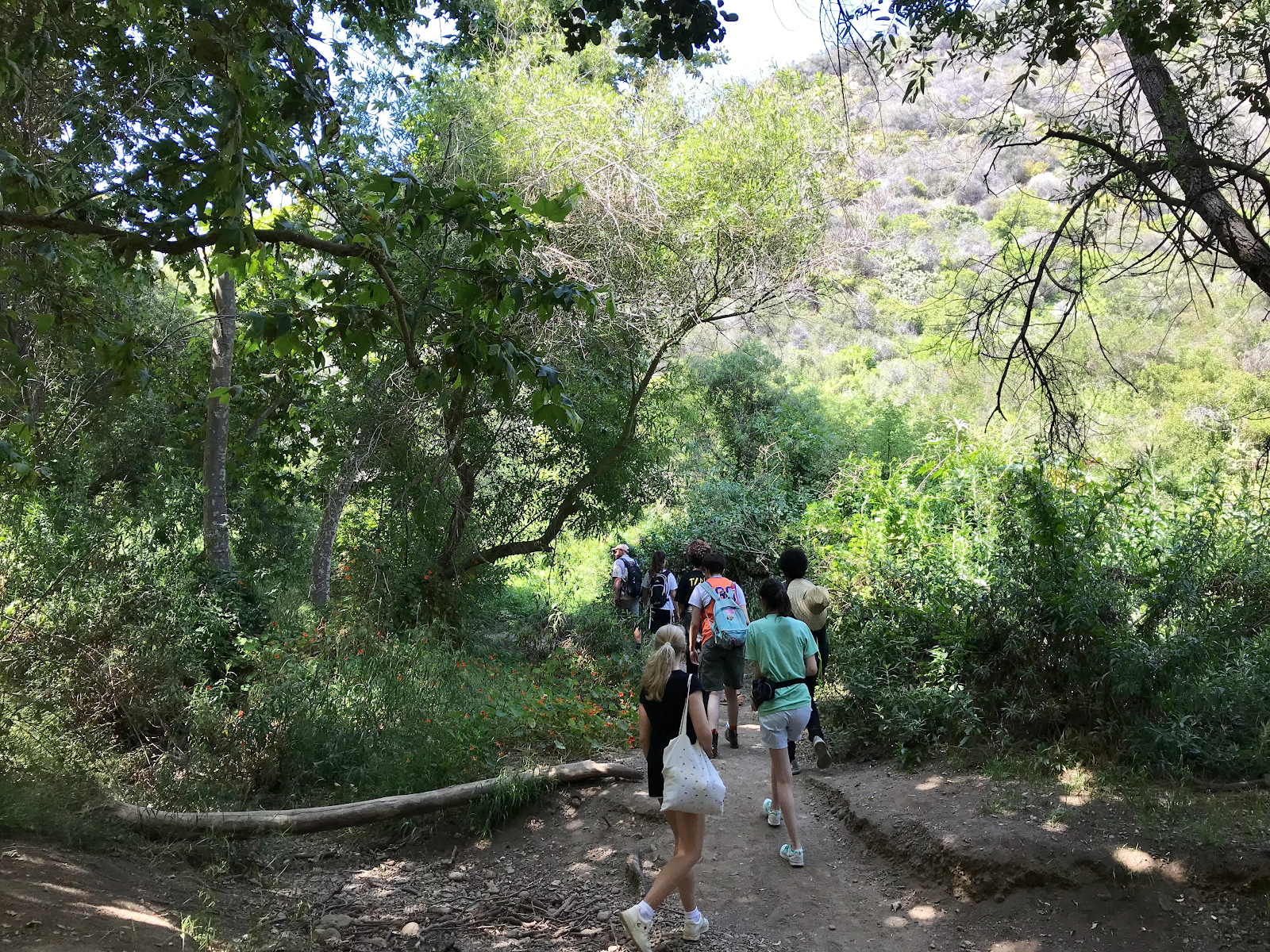 RE TPC hike .png