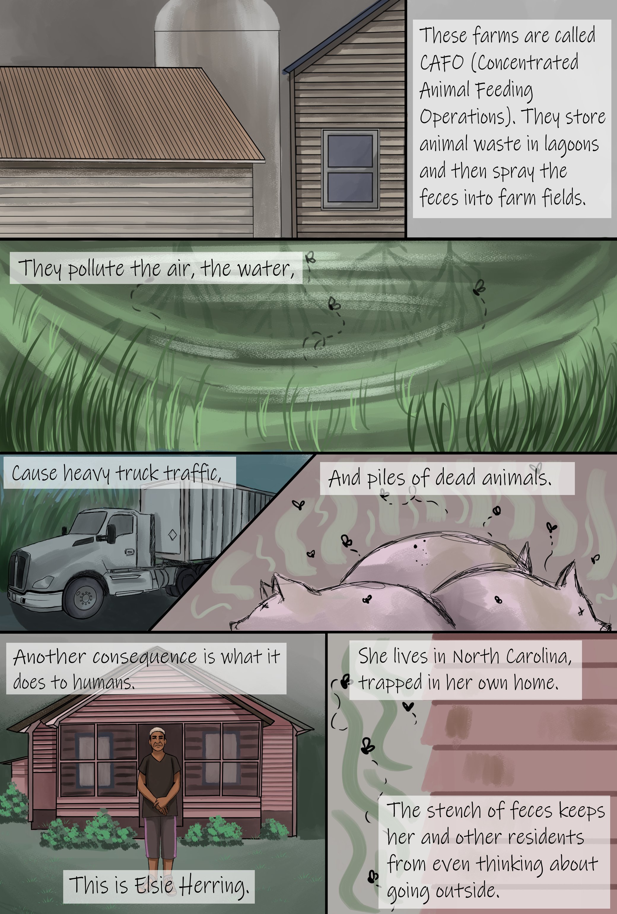   Agricultural Waste: Factory Farm Pollution. (2020).  Excerpt from one TPC member’s graphic short story.  