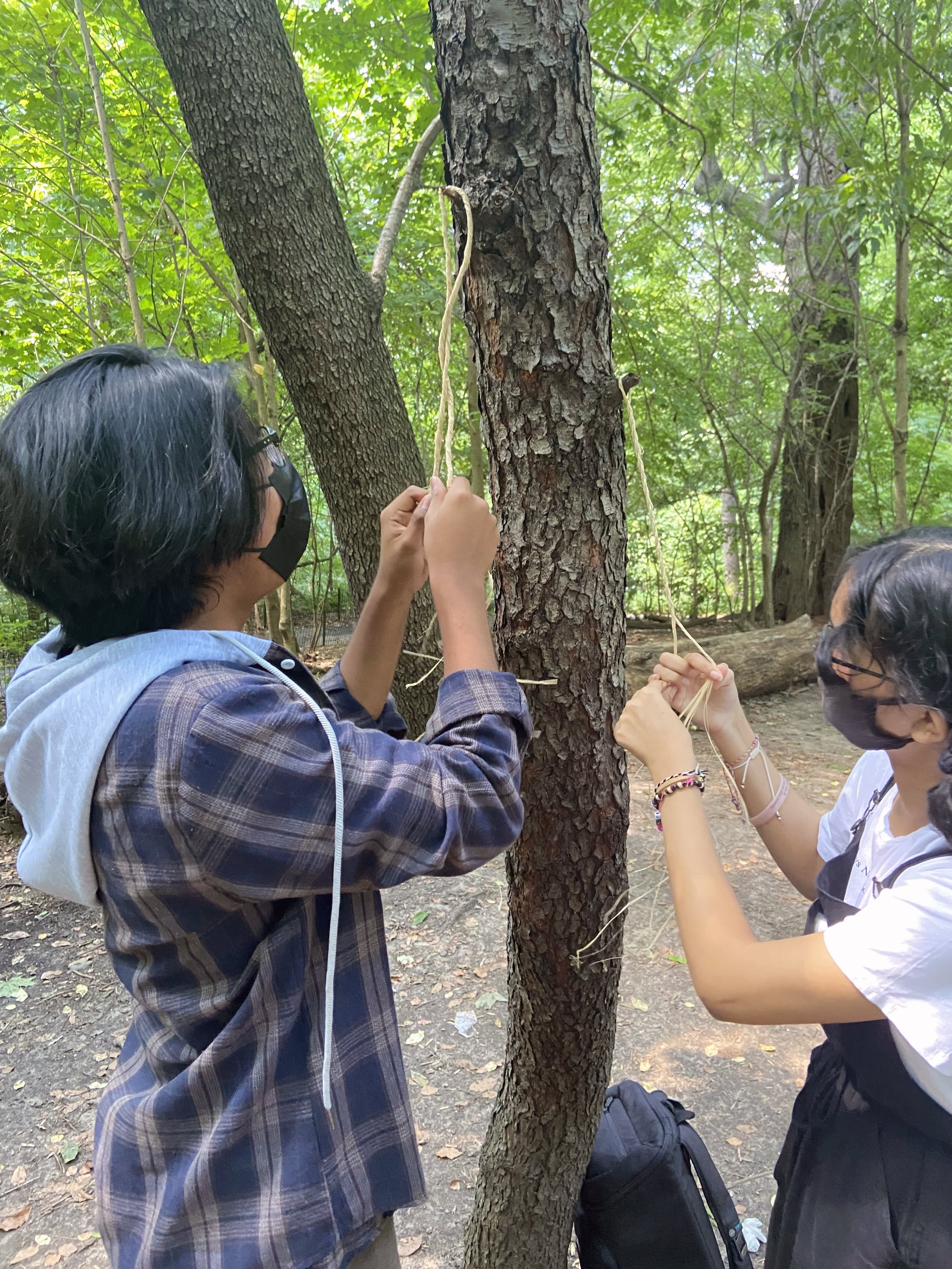  Meetup in nature to learn Earth Living skills. 