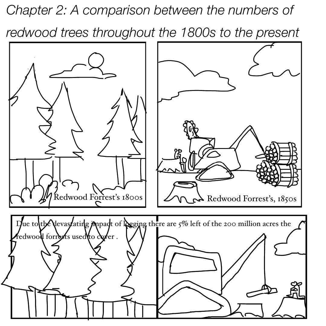 TPC 2023 - Week 6 Task - Tasfiyah Eahea - Final - The Importance of Redwoods - Page4.jpg