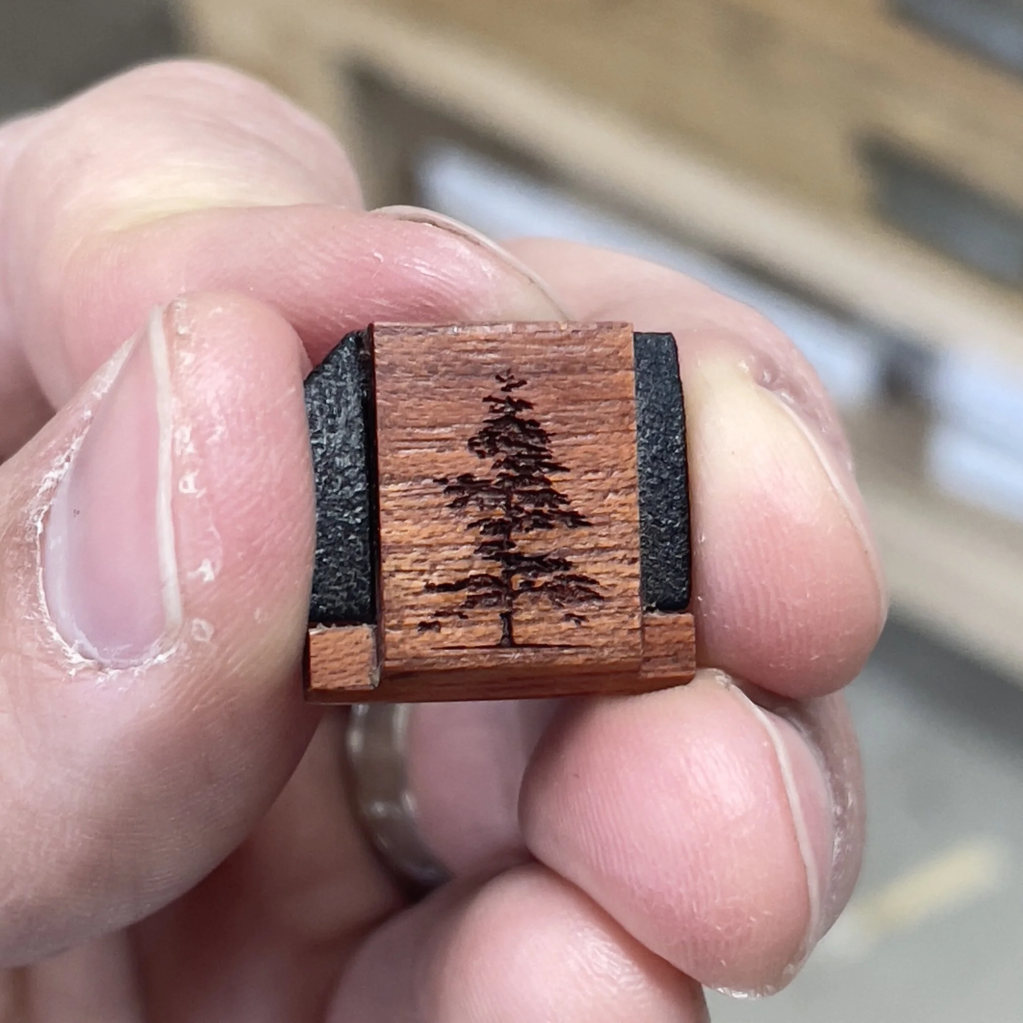 31237041-4F7C-44EE-AAFF-F73CC61AC589