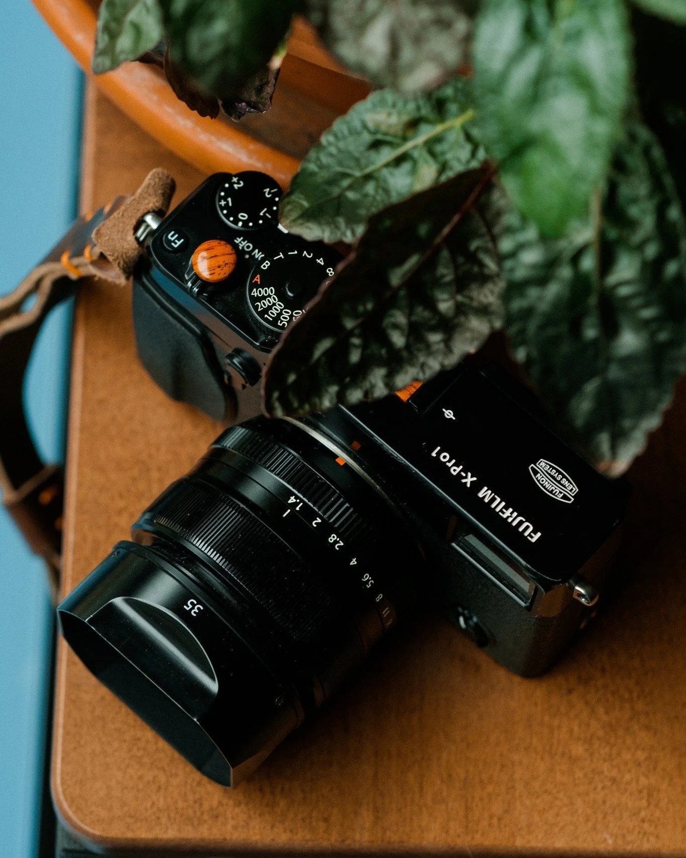 &ldquo;The meaning of life is to see.&rdquo; &mdash; Cedric Wright

Every photograph begins with that &mdash; the act of truly seeing.

This Fuji X-Pro1, paired with a Cocobolo soft release button and hot shoe cover, invites you to slow down, notice 