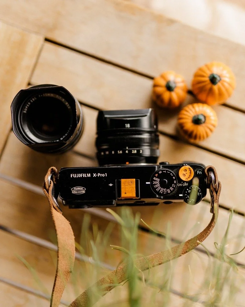 &quot;Once you really commence to see things, then you really commence to feel things.&quot;
&mdash; Edward Steichen

Fall is a season made for noticing&mdash;the shift in the air, the crunch of leaves, the way the light carves gold into everything.
